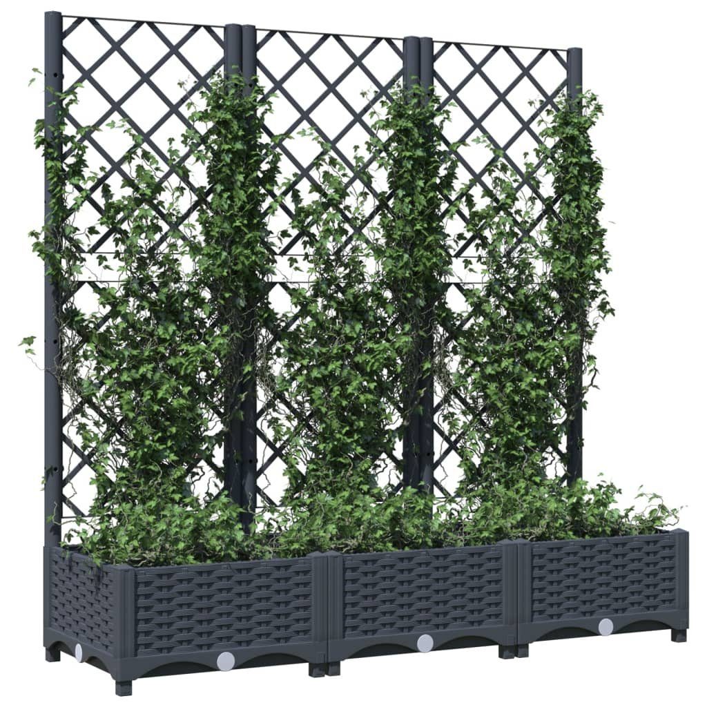 vidaXL Blumenkasten 120 x 40 x 1215 cm Pflanzkübel mit Spalier Dunkelgrau 120x40x121,5 cm