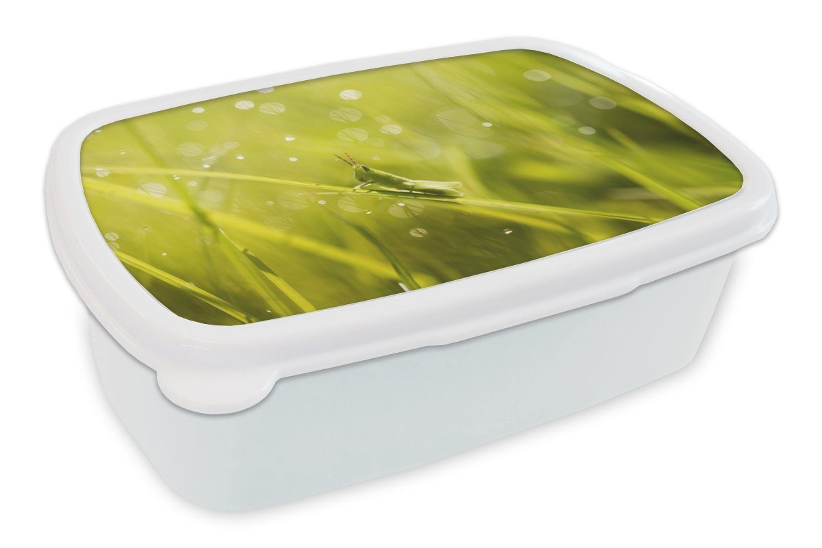 MuchoWow Lunchbox Grashüpfer - Gras - Grün, Kunststoff, (2-tlg), Brotbox für Kinder und Erwachsene, Brotdose, für Jungs und Mädchen weiß