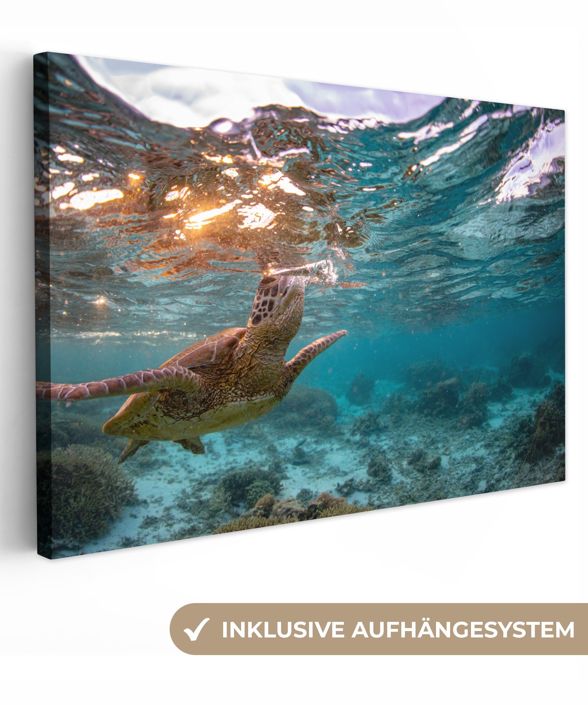 OneMillionCanvasses® Leinwandbild Meer - Schildkröte - Farben, (1 St), Wandbild Leinwandbilder, Aufhängefertig, Wanddeko, 30x20 cm