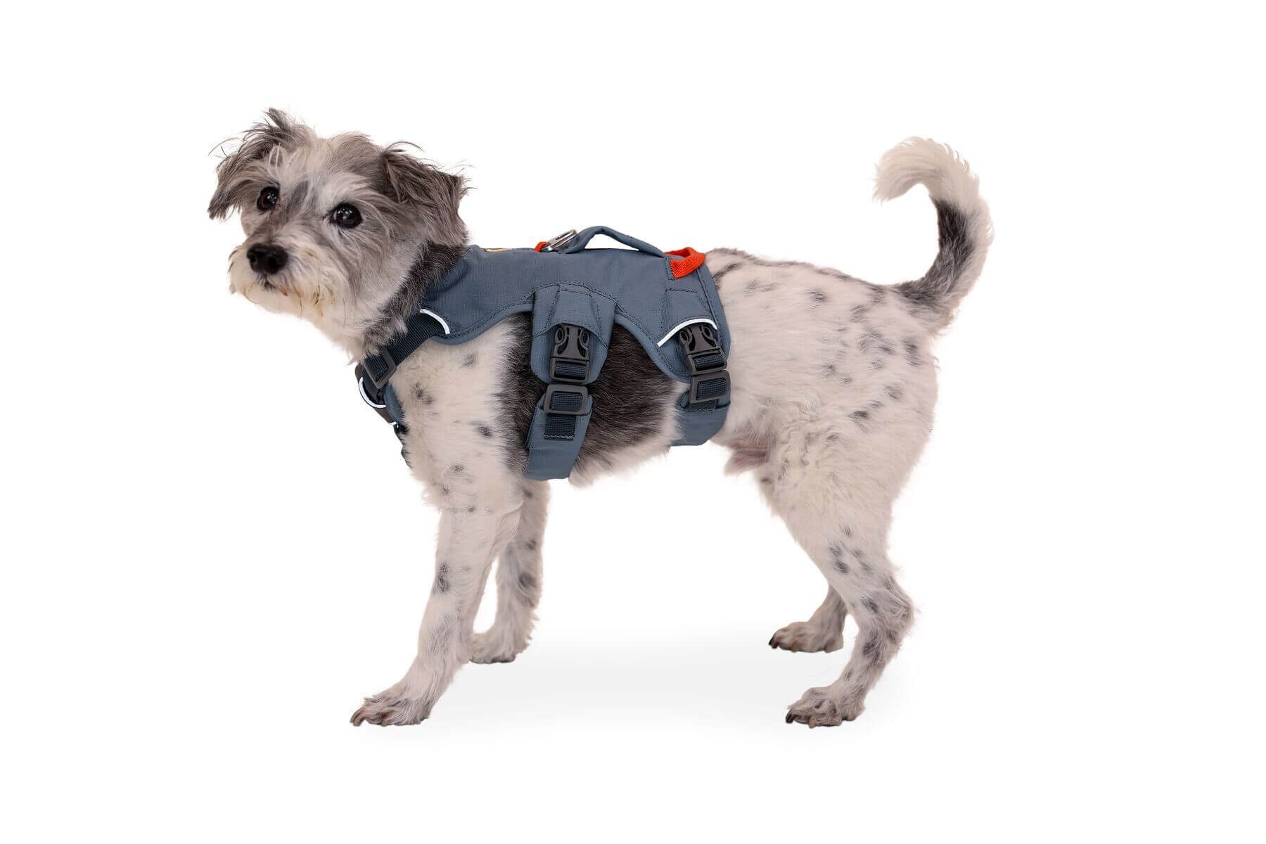 Ruffwear Hunde-Geschirr Web Master Harness