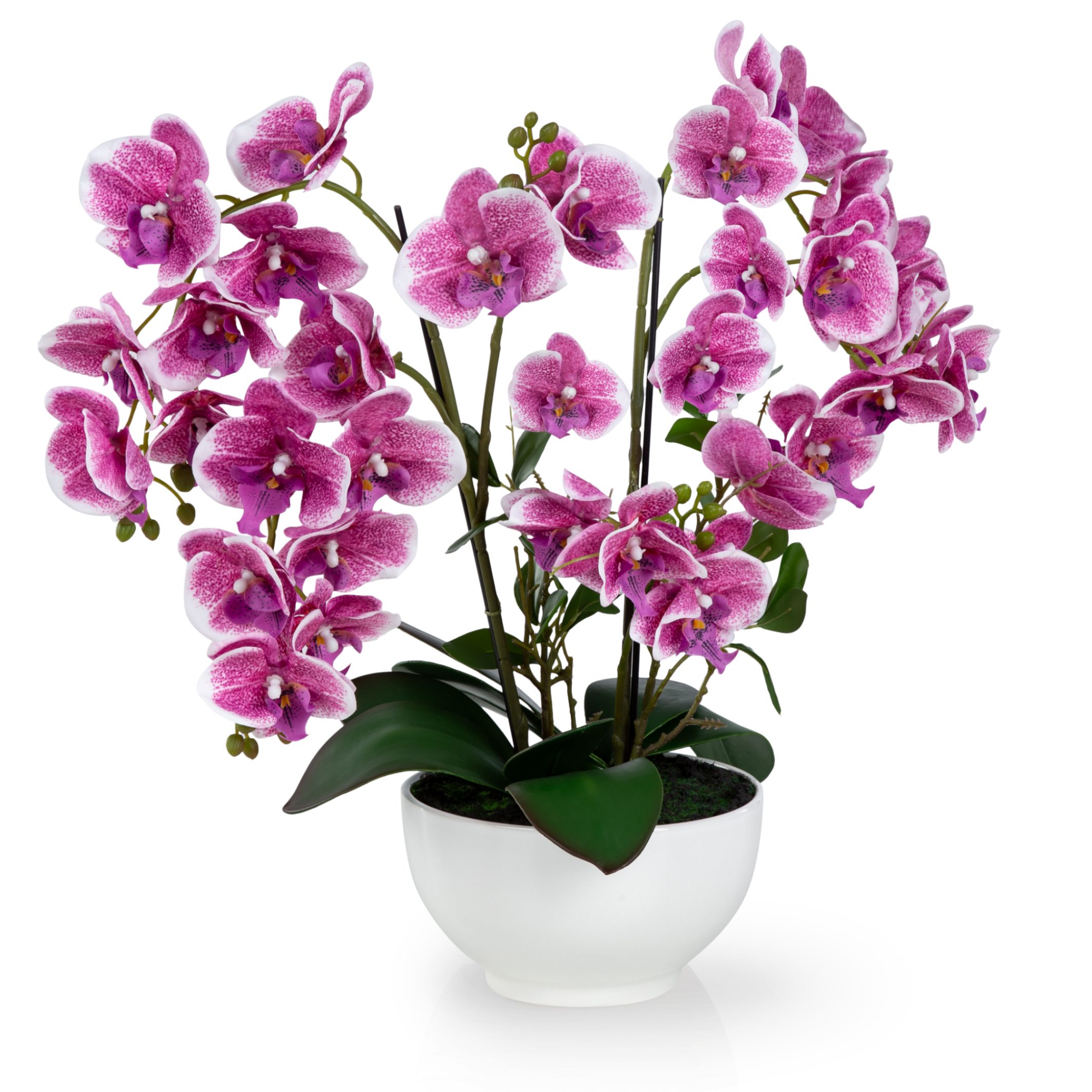 Kunstorchidee PASCH® XXL Orchidee künstlich wie echt (56cm) in Hochglanz-Keramiktopf Orchidee, PASCH
