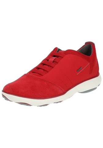  Geox Geox Sneaker Lederimitat/Mesh Sne...