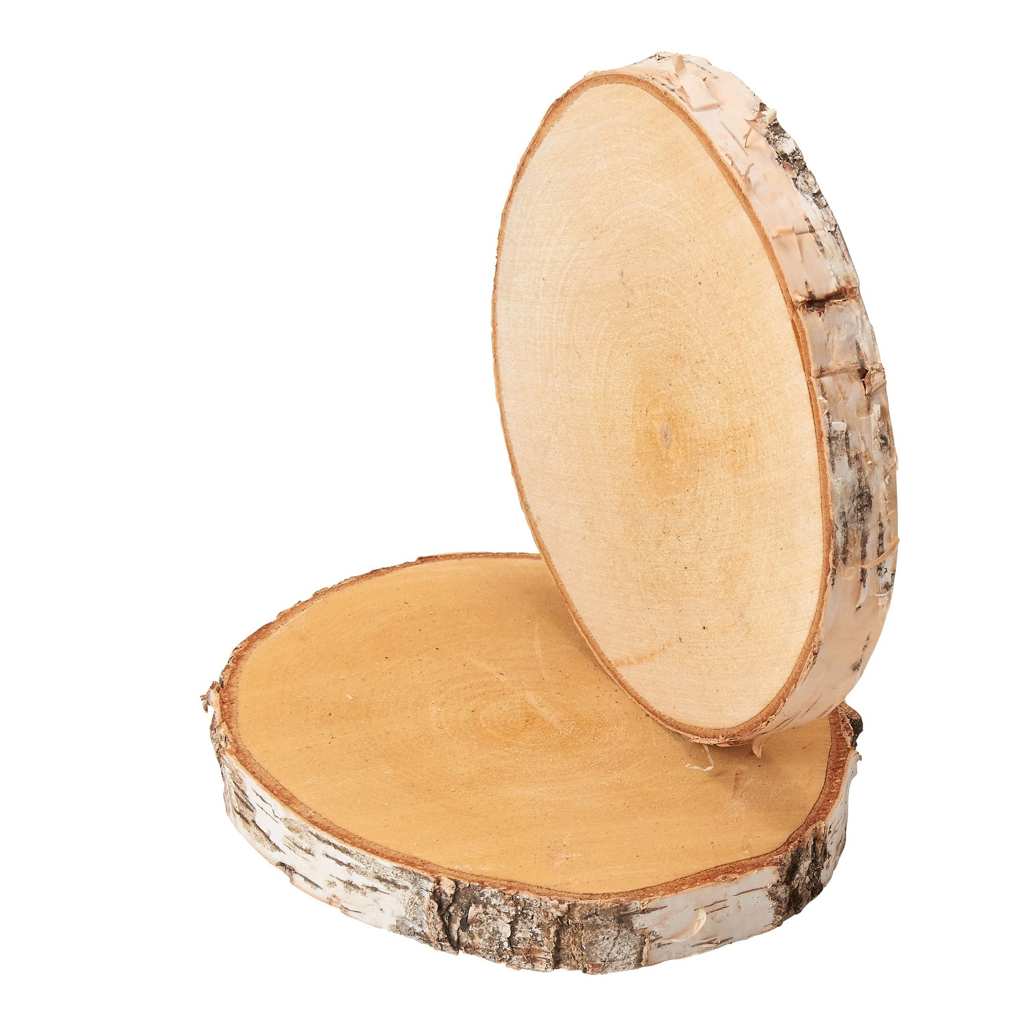 matches21 HOME & HOBBY Bastelnaturmaterial Kleine 16 cm Baumscheiben 2er Pack zum Holz-Deko Basteln, (2-tlg), runde Holzscheiben aus massivem EU Birkenholz