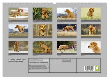 CALVENDO Wandkalender Chesley Kleiner Hund grosse Abenteuer (Premium, hochwertiger DIN A2 Wandkalender 2023, Kunstdruck in Hochglanz)