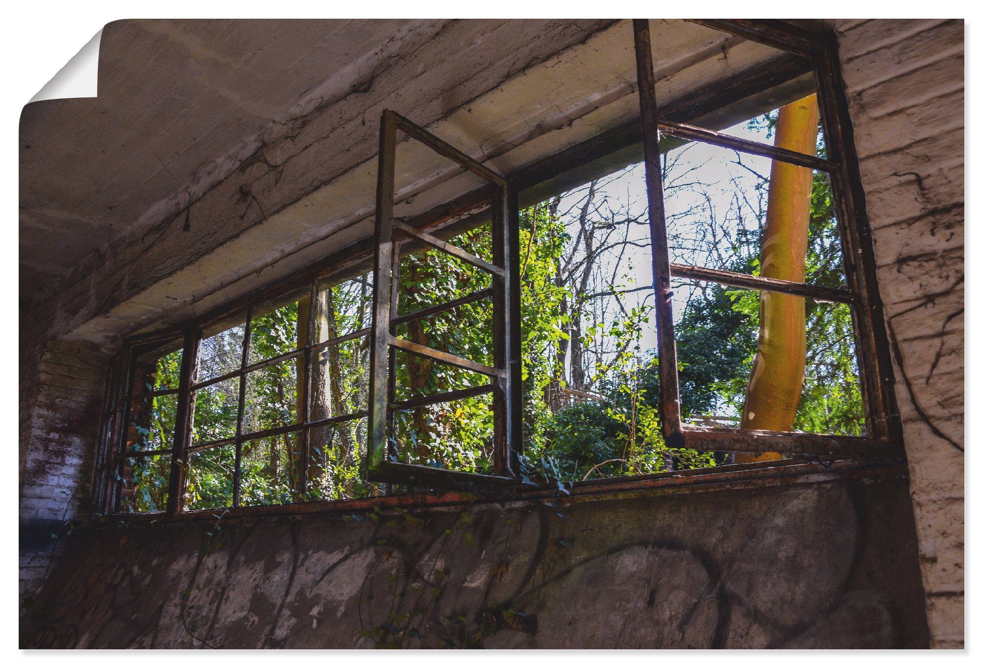 Artland Wandbild Blick ins Fenster (1 oder versch. Alubild, Größen in & Poster Wandaufkleber St), als Grüne, Türen Leinwandbild