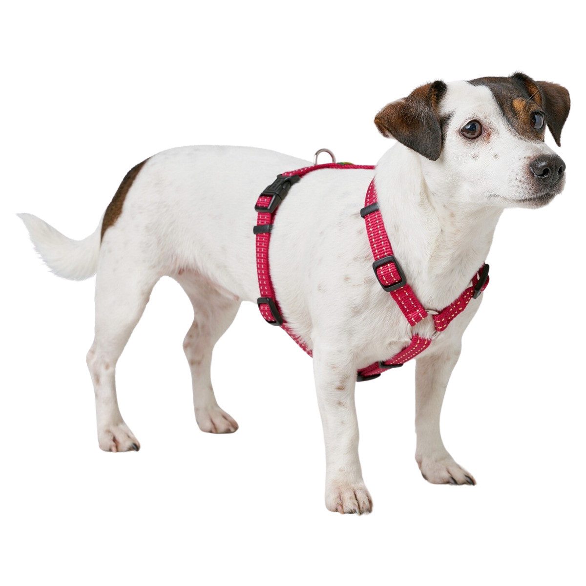 Hunter Tierbedarf Hunde-Geschirr Geschirr Tripoli Vario Basic himbeer, refl günstig online kaufen