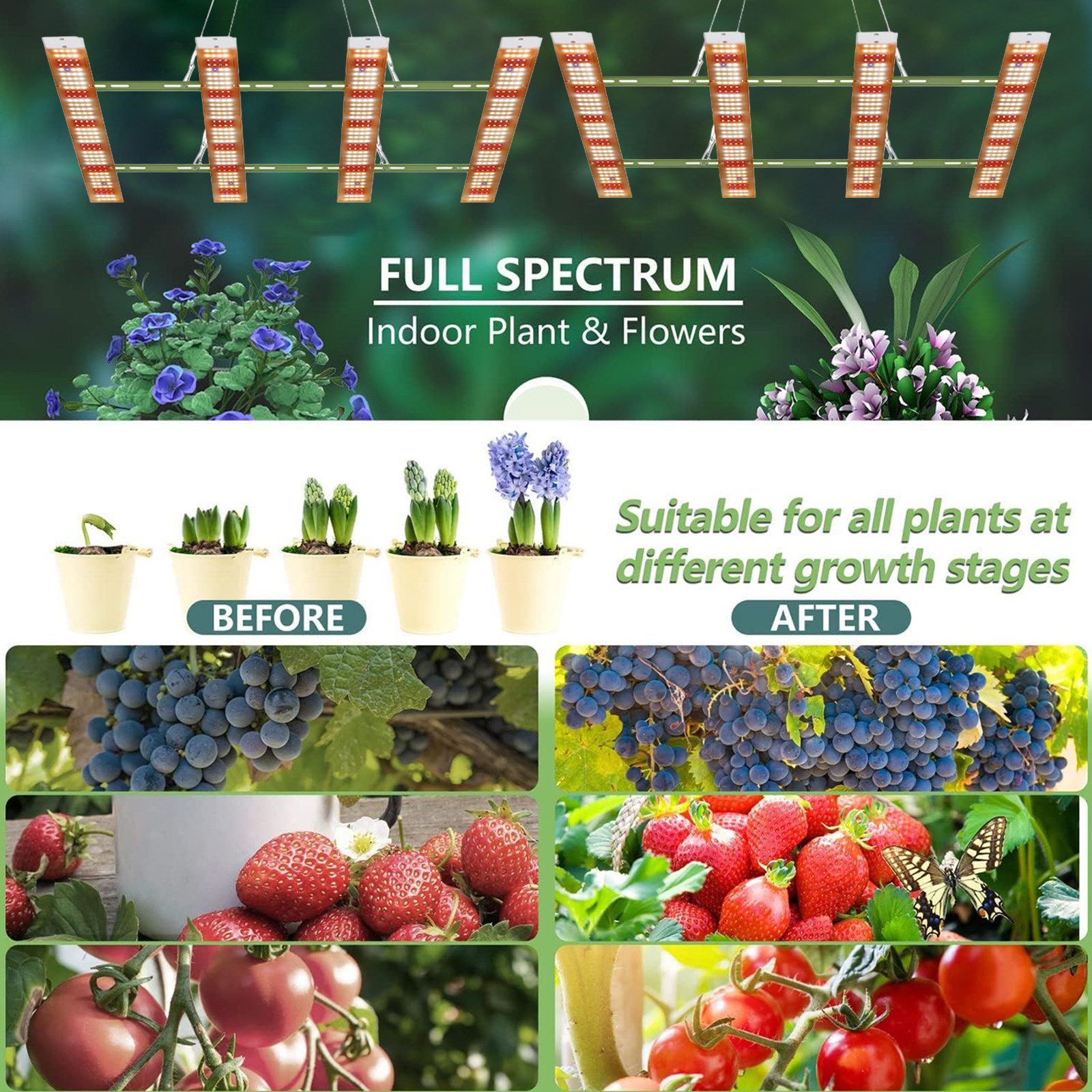 Jibenhome Pflanzenlampe Vollspektrum LED Grow Lampe günstig online kaufen