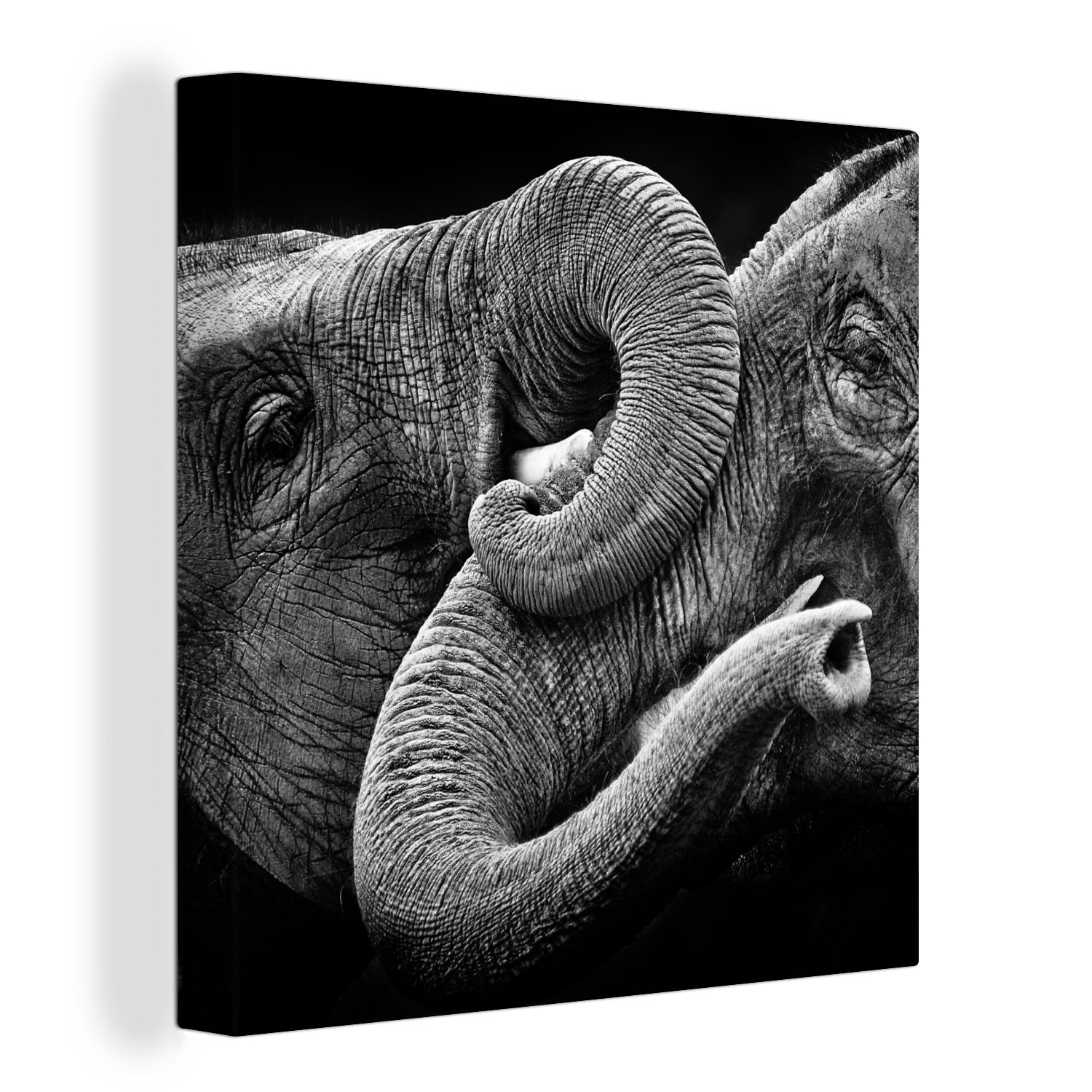 OneMillionCanvasses® Leinwandbild Elefant - Tier (1 bunt - für Wohnzimmer Schlafzimmer Rüssel, St), Bilder Leinwand