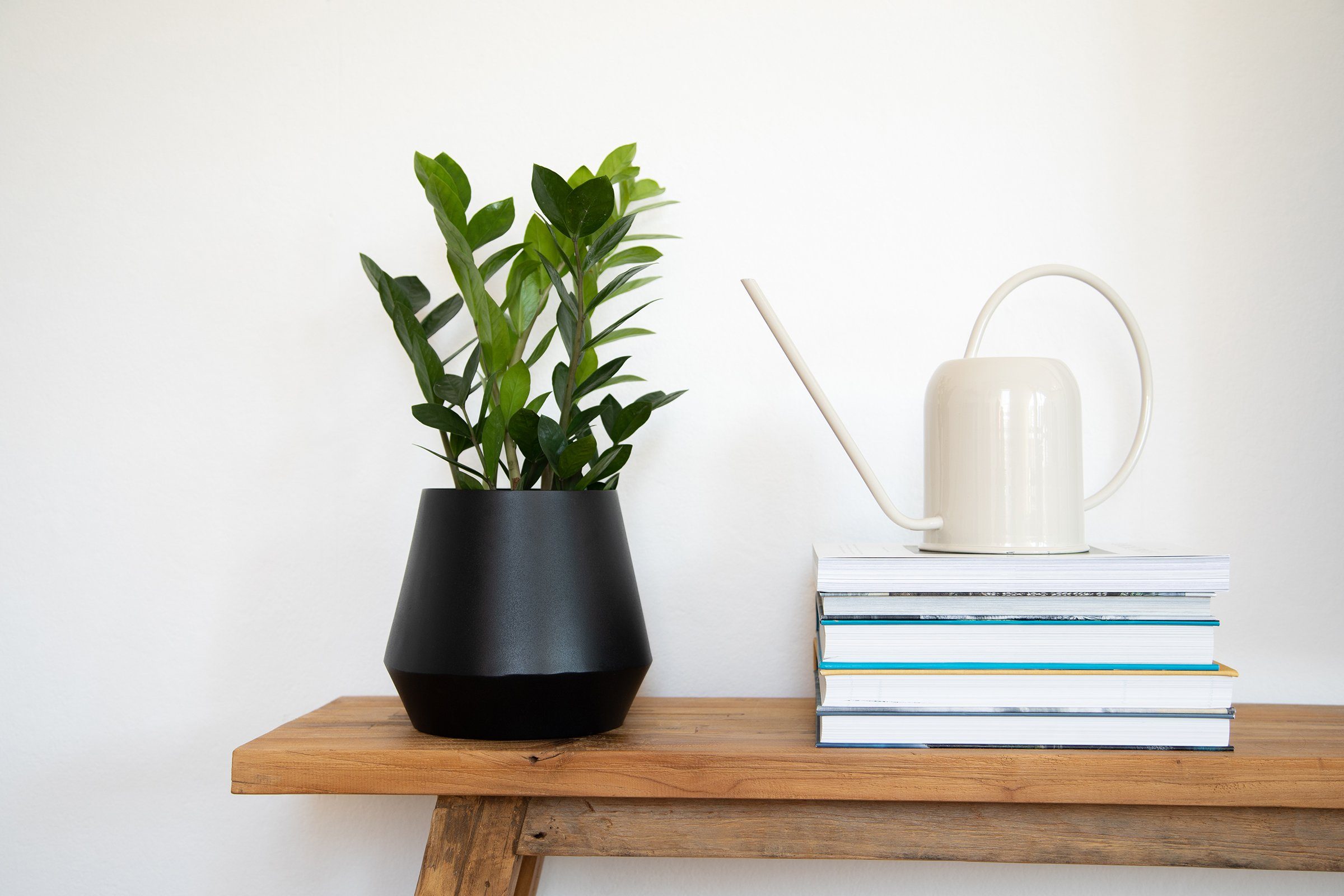 LaLe Living Blumentopf Timur in Schwarz matt Ø22 cm, aus Eisen