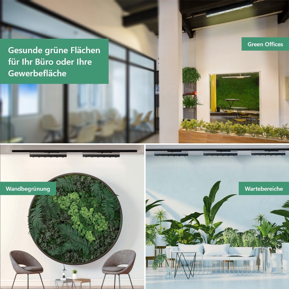 PARUS Pflanzenlampe Track Lights Pflanzenlampe