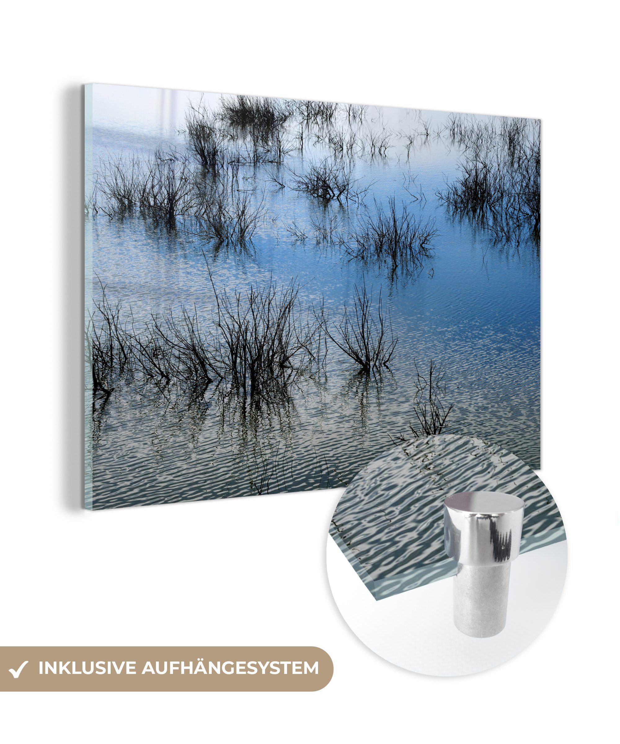 MuchoWow Acrylglasbild Schilf im Wasser des spanischen Nationalparks Tablas de Daimiel, (1 St), Acrylglasbilder Wohnzimmer & Schlafzimmer
