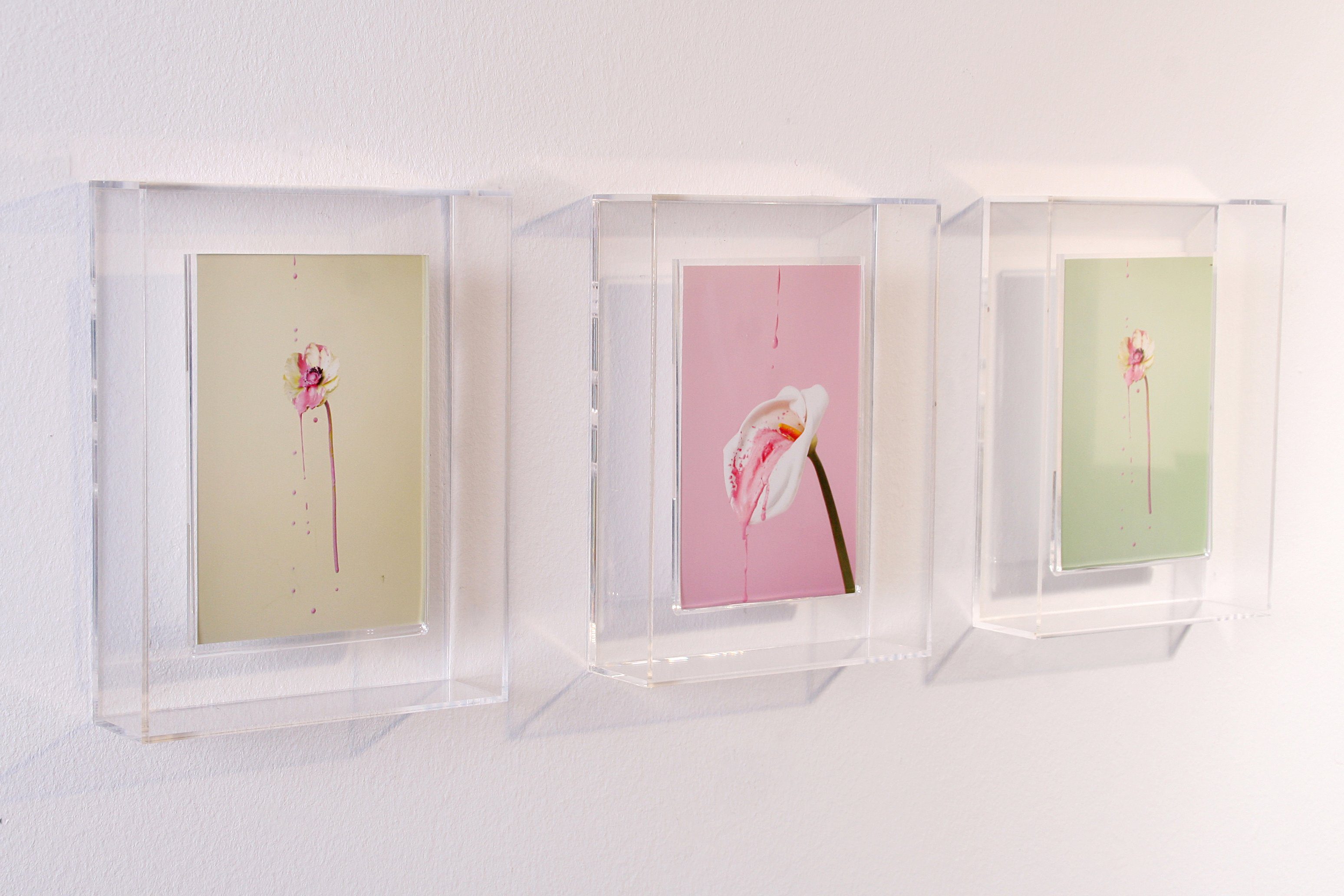 Wackadoo Living Bilderrahmen pure the Frame aus kristallklarem Acryl, Magne günstig online kaufen