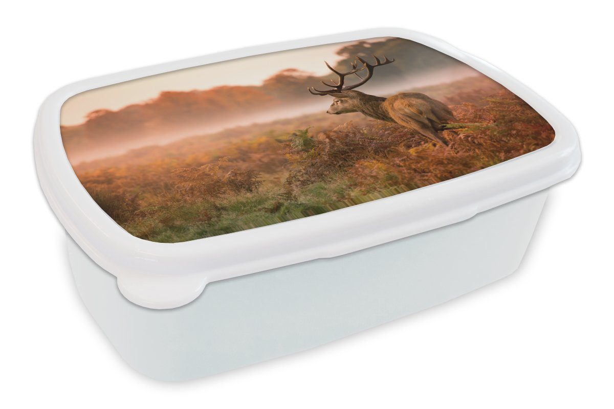 MuchoWow Lunchbox Hirsche - Nebel - Herbst, Kunststoff, (2-tlg), Brotbox für Kinder und Erwachsene, Brotdose, für Jungs und Mädchen weiß