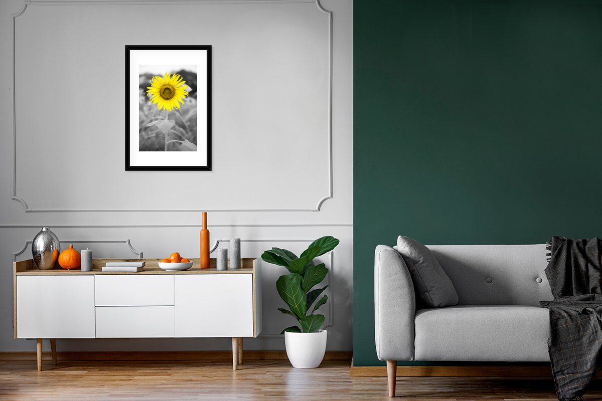 Rahmen, (1 Schwarz Gerahmtes - - MuchoWow mit - - Blumen St), Sonnenblume Kunstdruck, Gelb Poster, Weiß, Bilderrahmen Poster Schwarzem