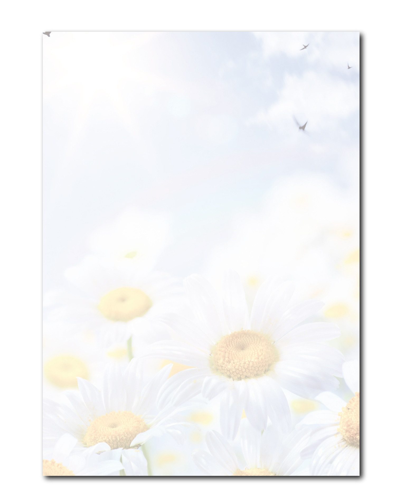 Briefpapier Motivpapier Sommer, Sonne, Urlaub DIN A4, gut beschreibbar