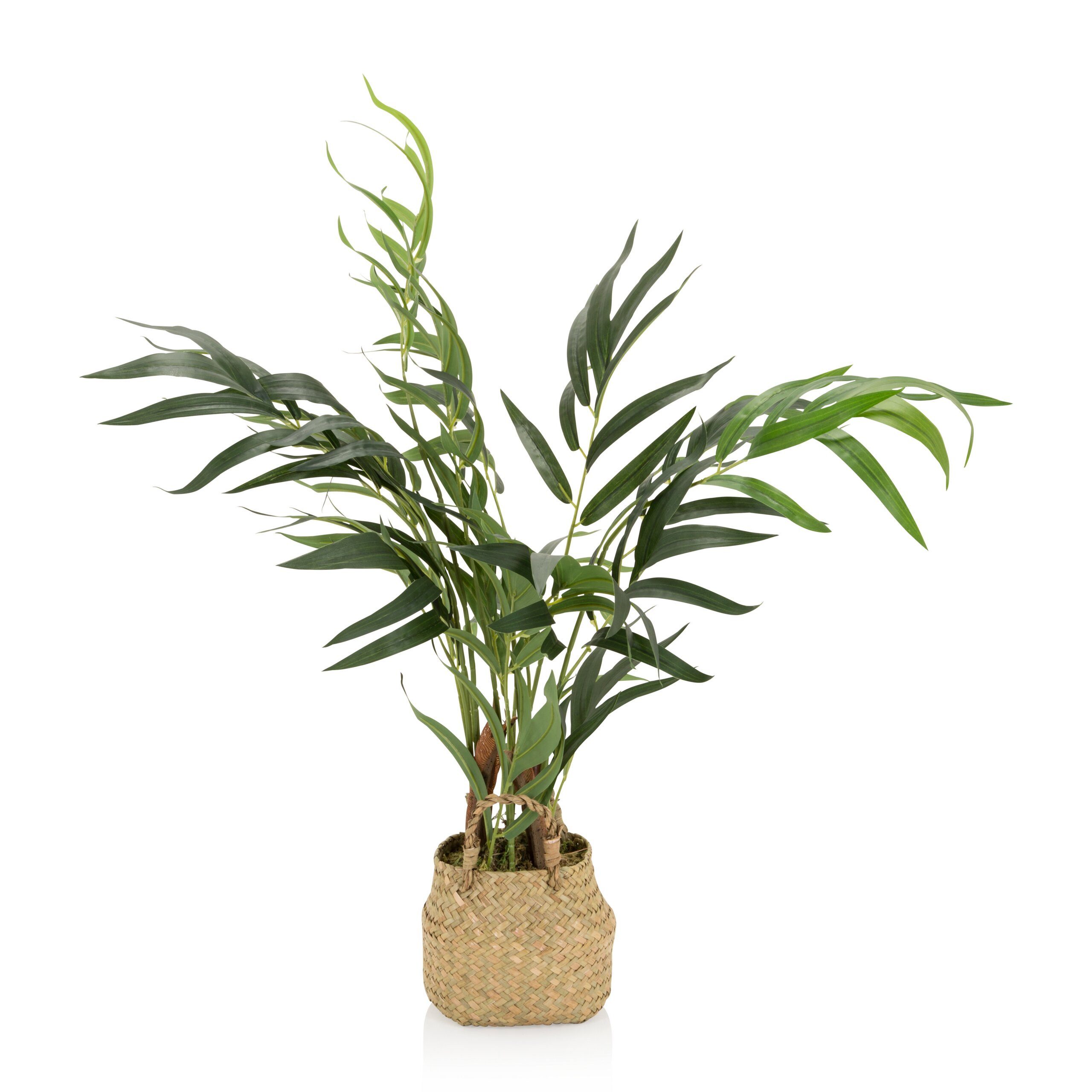 Kunstpflanze CHAMAEDOREA Künstliche Pflanze Höhe 65.0 cm Palme Palme, hjh OFFICE, Höhe 65.0 cm, Künstliche Zimmerpflanze Bergpalme im Rattan-Korb, Kunstpalme Pflanze. € 64,90