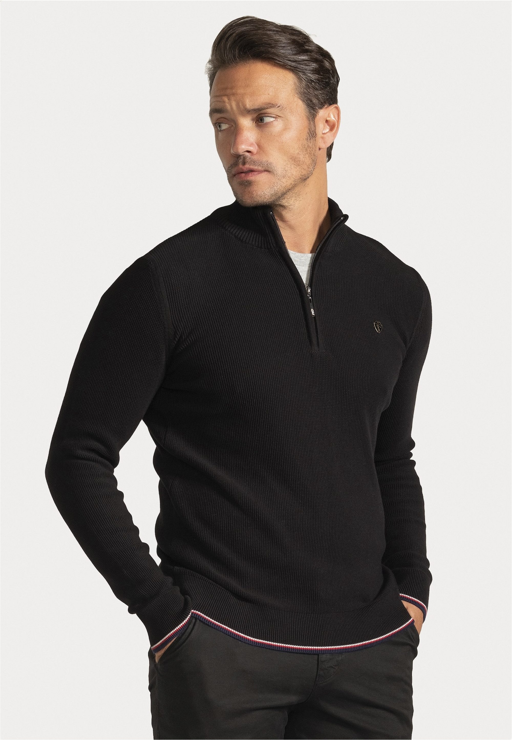 SIR RAYMOND TAILOR Strickpullover Pulses (1-tlg) günstig online kaufen