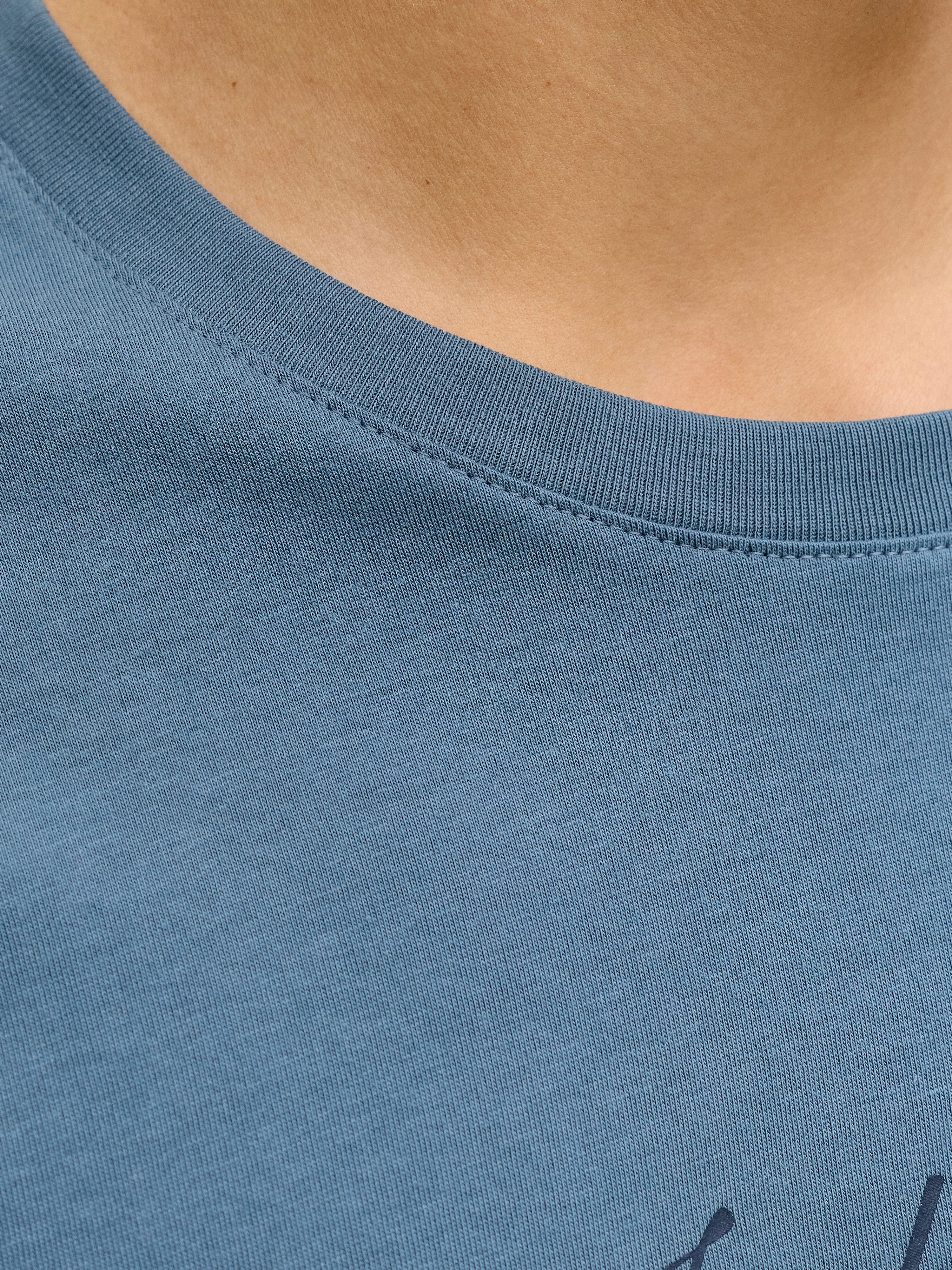 Jack & Jones Rundhalsshirt JJEDOVER DENIM TEE SS O-NECK SN mit Logobranding – Bild 3 von 5