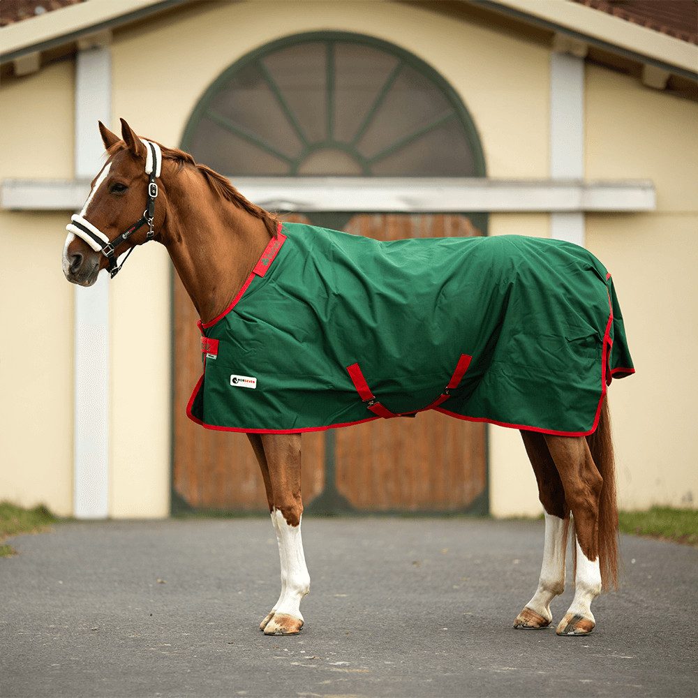 Bucas Pferde-Thermodecke Bucas Irish Turnout Medium 100g by HorSeven