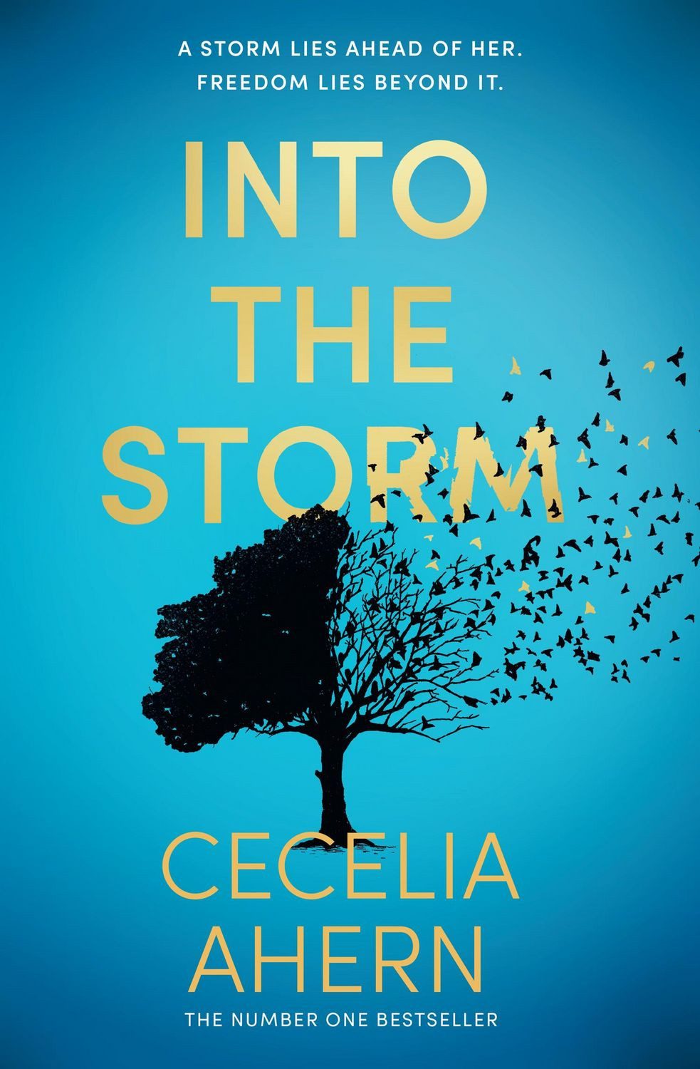 Into the Storm / Cecelia Ahern