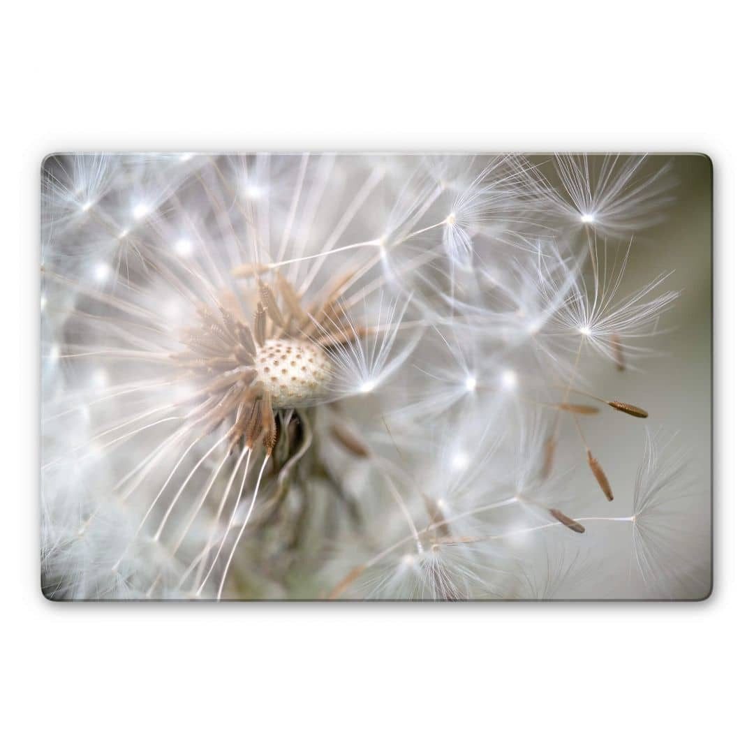 K&L Wall Art Glasbild Glasbild modern Botanik Pusteblume im Flug by Delgado, Glasposter Wohnzimmer Deko, Wohnzimmer Wanddeko aus Glas moderne Glasbilder inkl. Wandhalterung