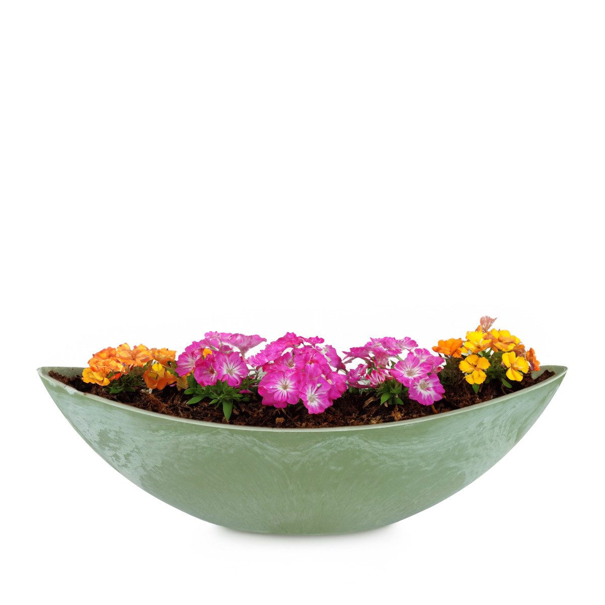 matches21 HOME & HOBBY Blumentopf Große günstig online kaufen