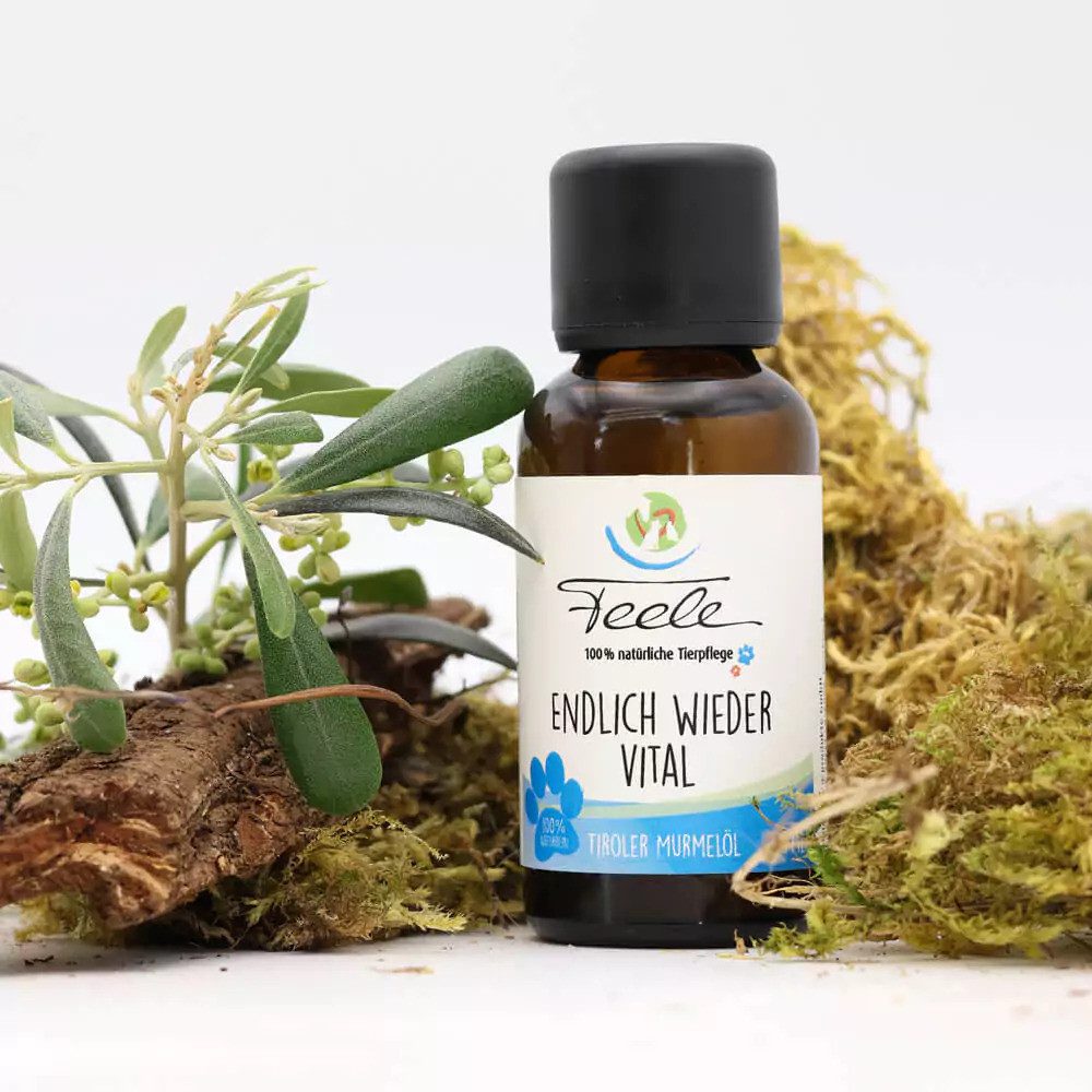 EPONA Tierpräparate Feele „Endlich wieder vital“ 30ml