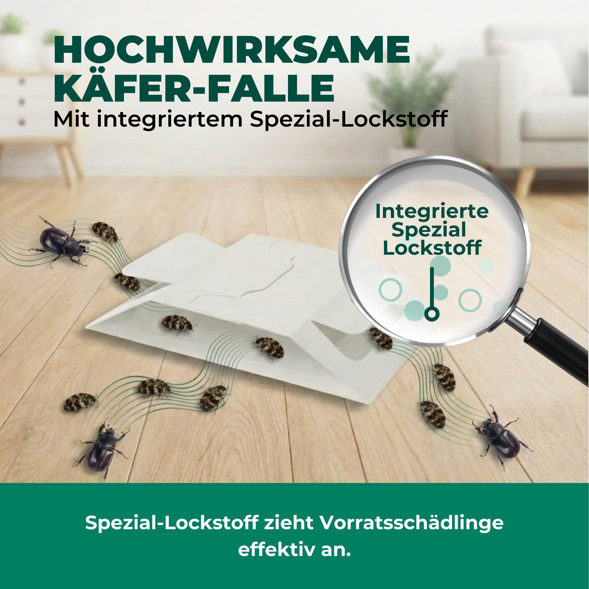 Silberkraft Insektenfalle Käferfalle gegen diverse Käfer – Universal-Klebefalle mit Lockstoff, Extrastarke Klebefläche, einfache Anwendung – Bild 5 von 5