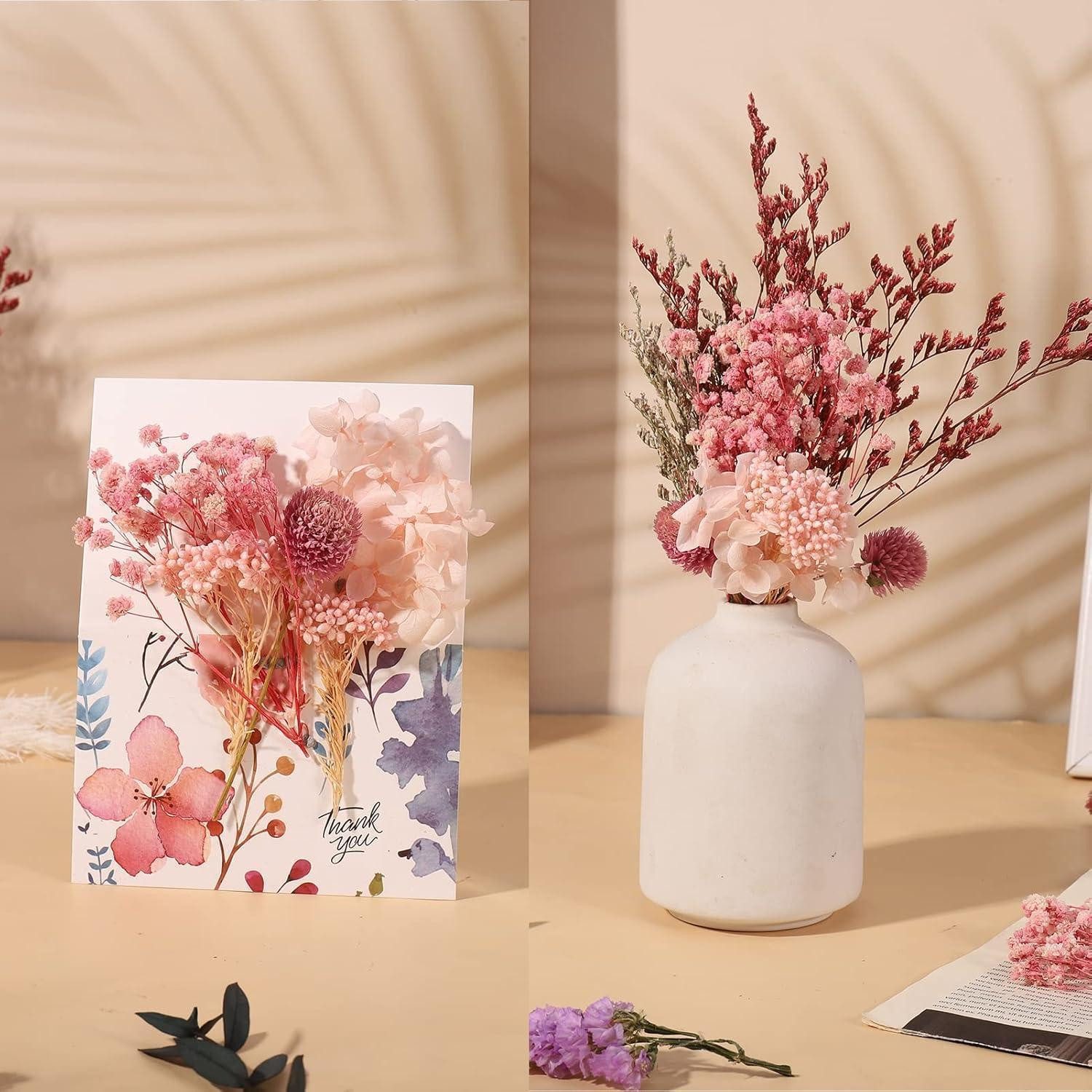 Trockenblume Getrocknete Blumen gemischt für DIY-Projekte & Bastelarbeiten, LuxusKollektion