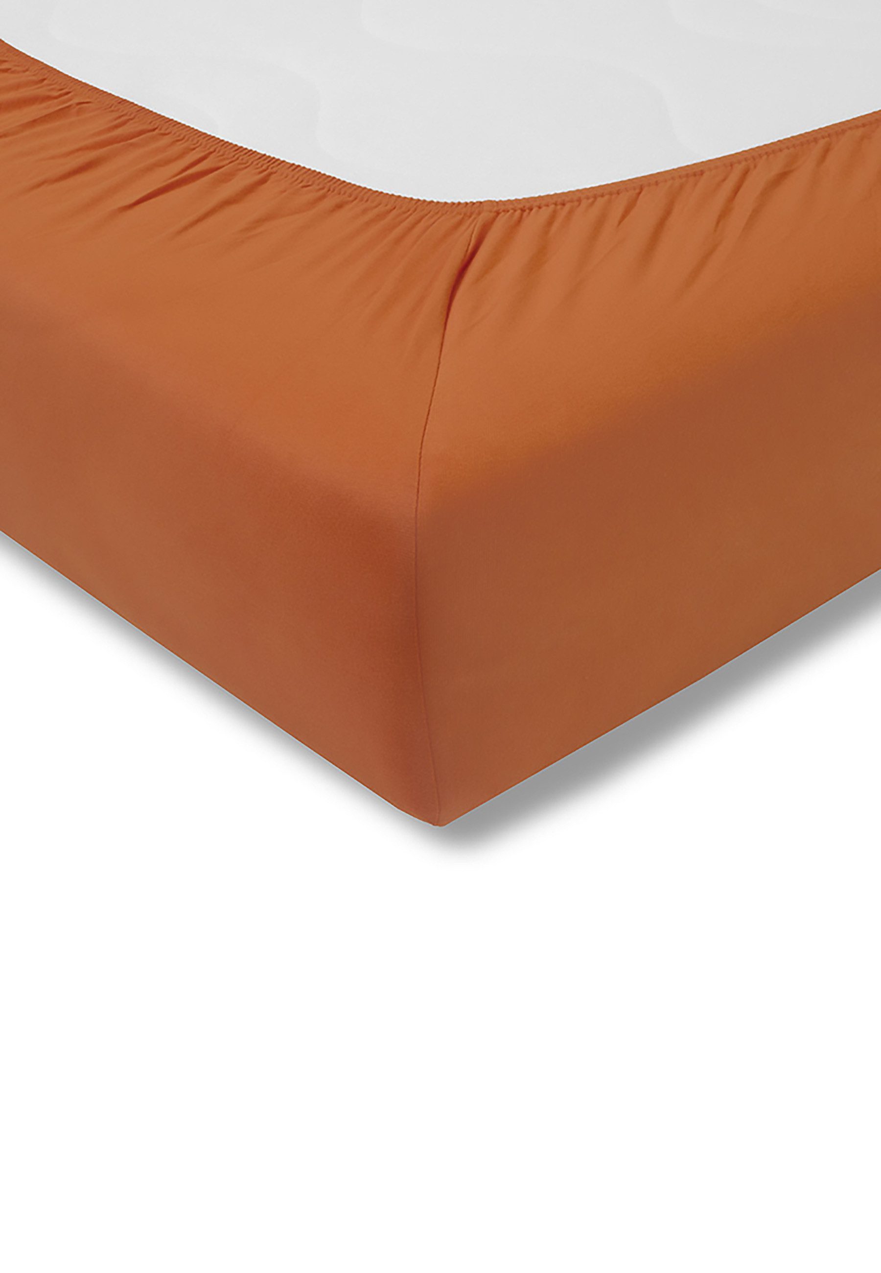 Estella Spannbettlaken Spannbetttuch Feinjersey, Jersey, Gummizug: günstig online kaufen