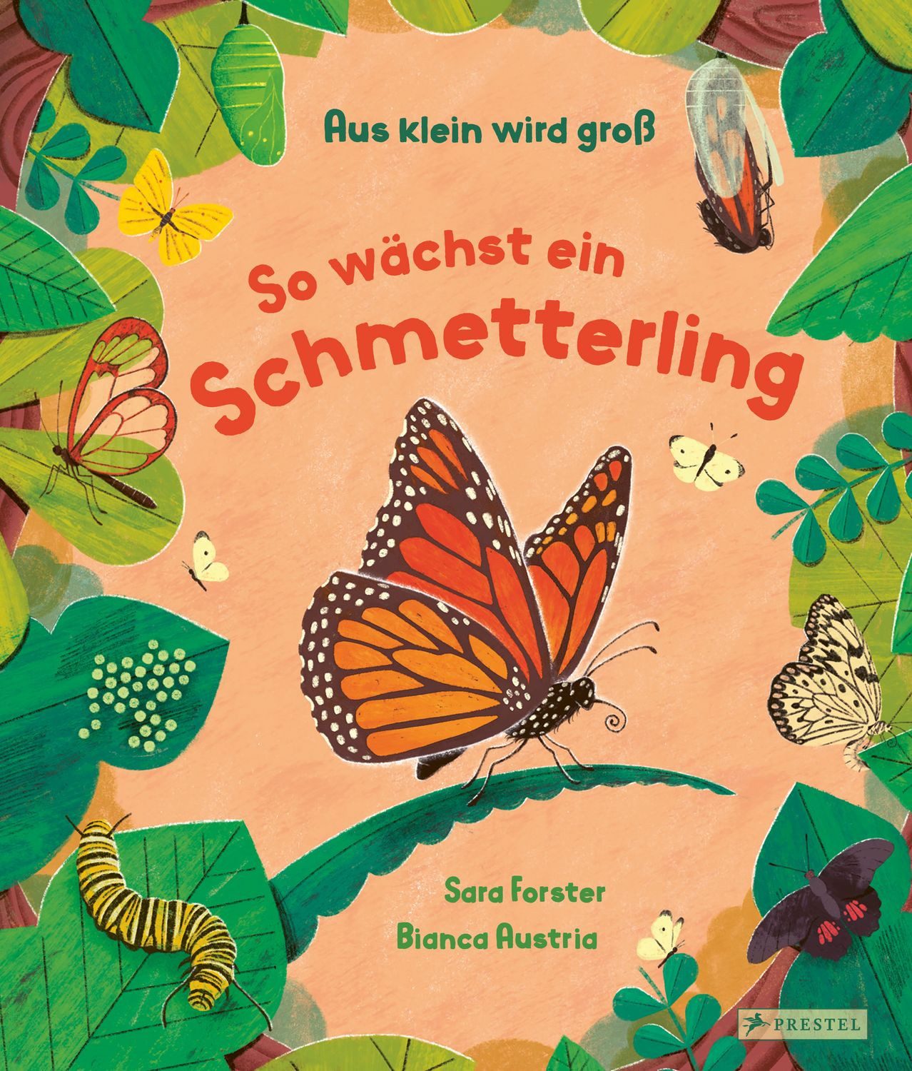 Kinderbuch Aus klein wird groß. So wächst ein Schmetterling Ein Sachbilderbuch fü Sara Forster, Bianca Austria