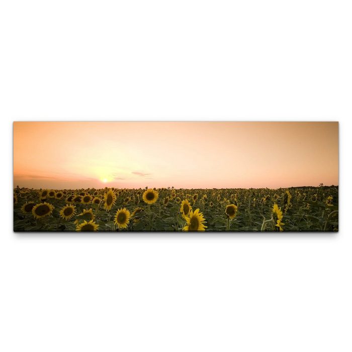 möbel-direkt.de Leinwandbild Bilder XXL Sonnenblumenfeld bei Abenddämmerung Wandbild auf Leinwand