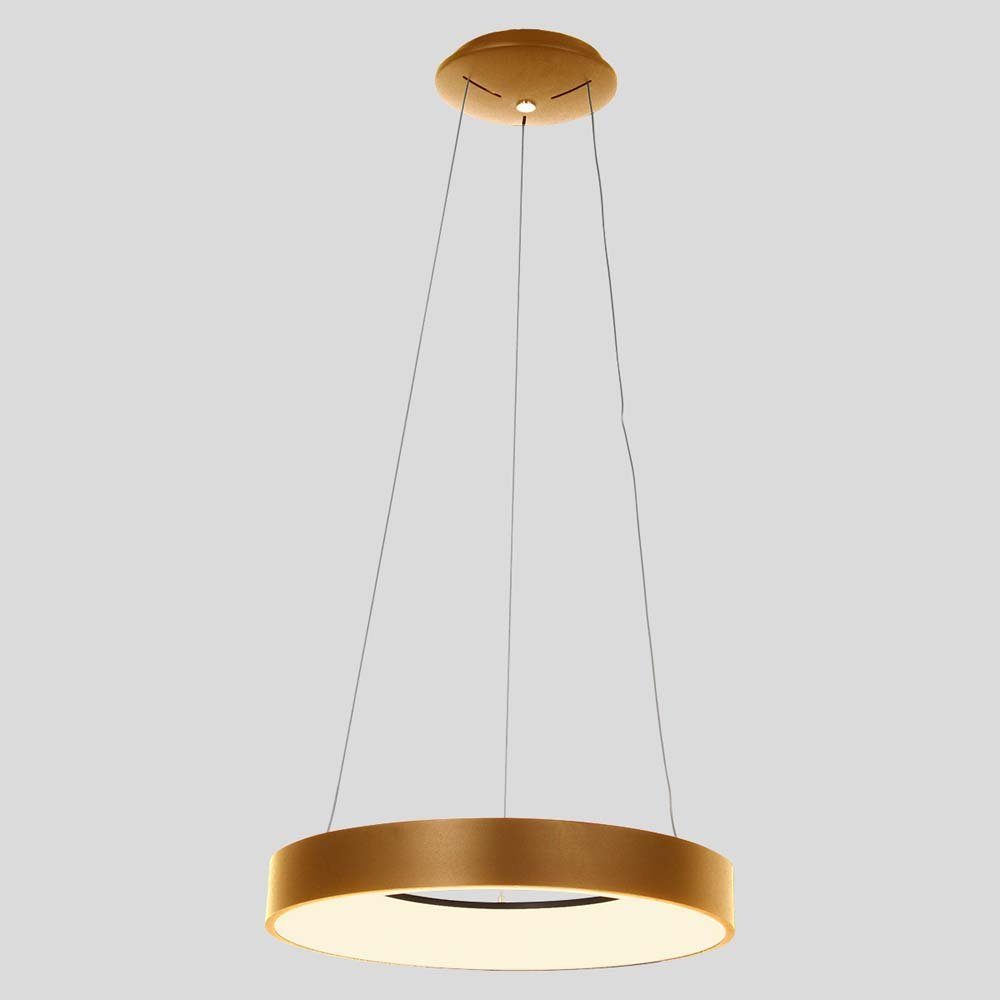 Steinhauer LIGHTING LED-Hängeleuchte, LED-Leuchtmittel fest verbaut, Pendellampe Esstischleuchte Hängelampe gold Wohnzimmerlampe Ring LED H