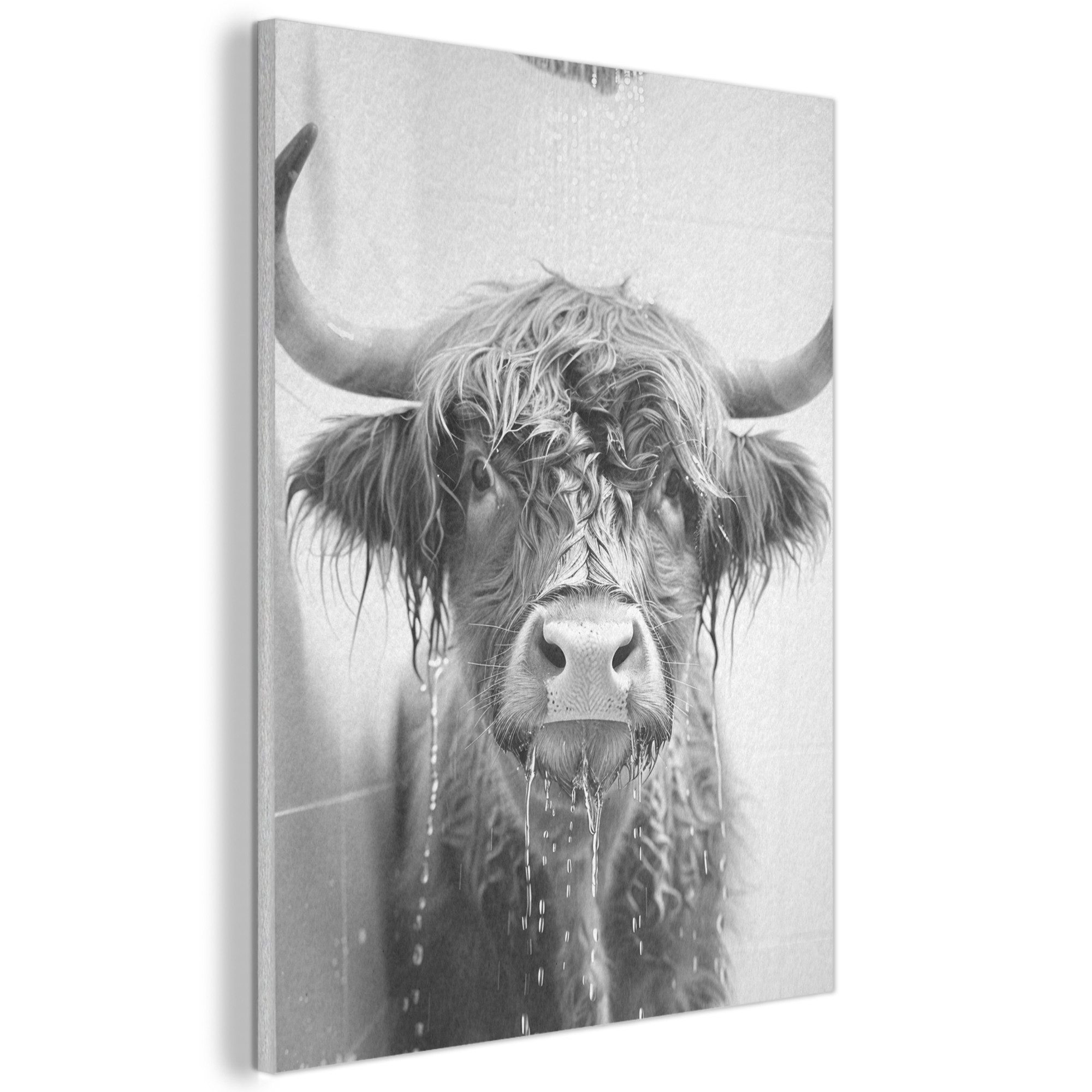 MuchoWow Gemälde Schottischer Highlander - Tier günstig online kaufen