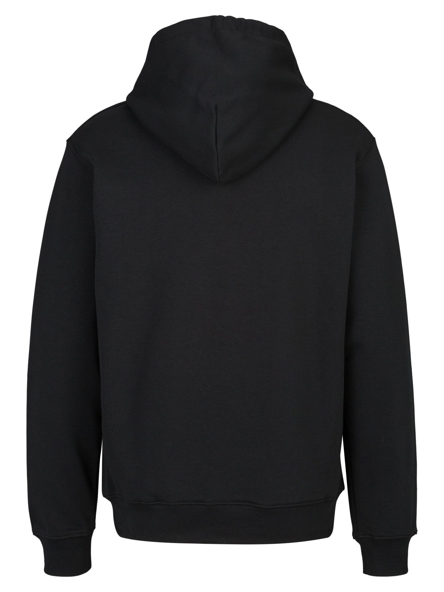 Replay Sweatshirt FRENCH TERRY COTTON-POLY günstig online kaufen