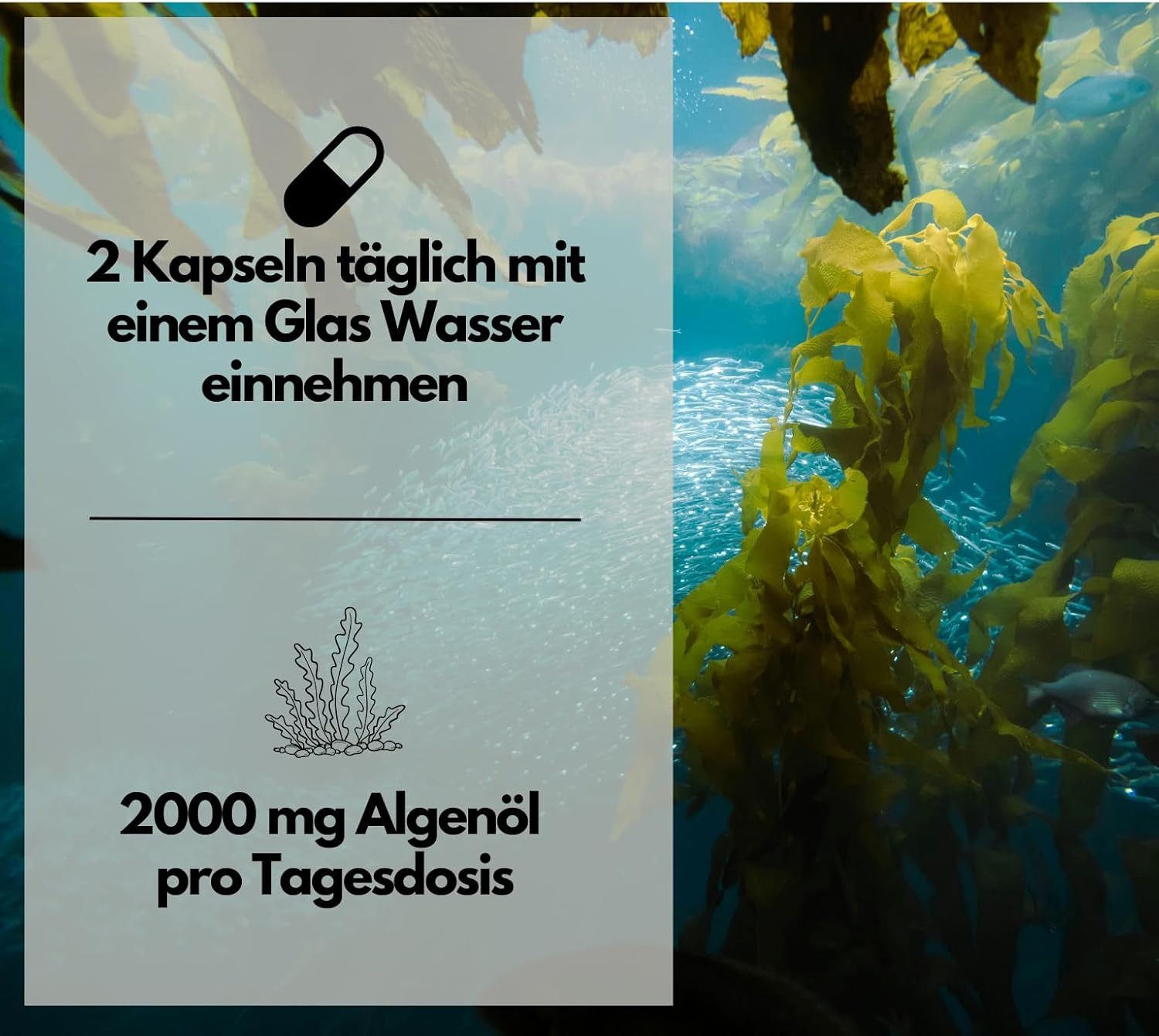 Omega 3 aus Algenöl, 120 vegane Softgelkapseln Kapseln, 120 g