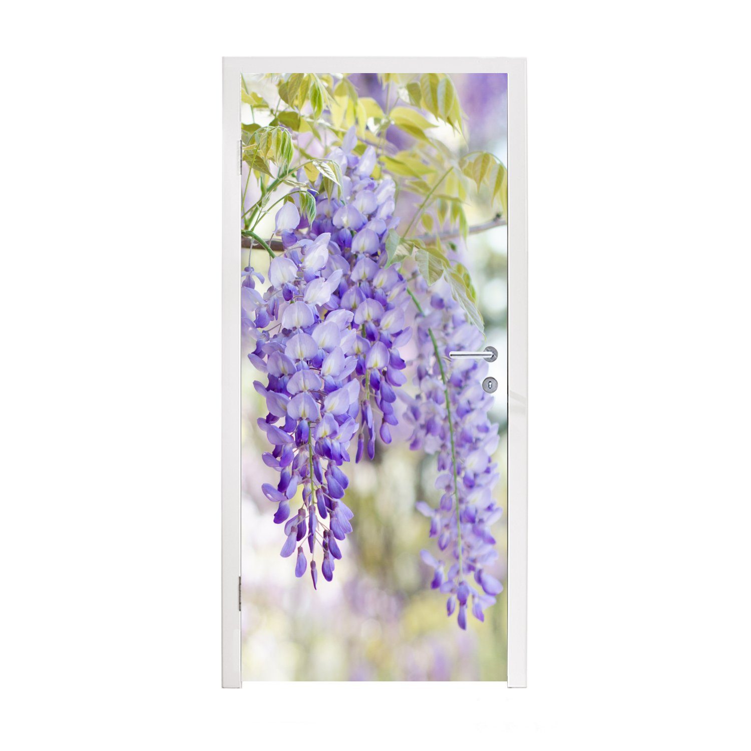 Regen Türtapete in Fototapete MuchoWow Matt, cm Blauer für Türaufkleber, (1 St), bedruckt, 75x205 Tür, voller Blüte,