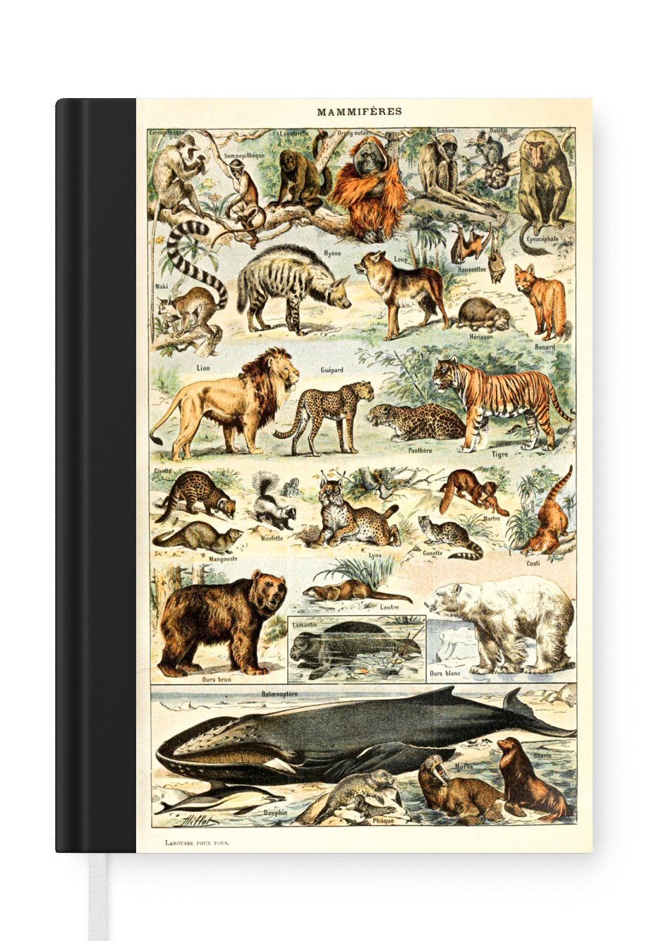 MuchoWow Notizbuch Tiere - Vintage - Adolphe Millot - Tiger - Löwe, Journal, Merkzettel, Tagebuch, Notizheft, A5, 98 Seiten, Haushaltsbuch