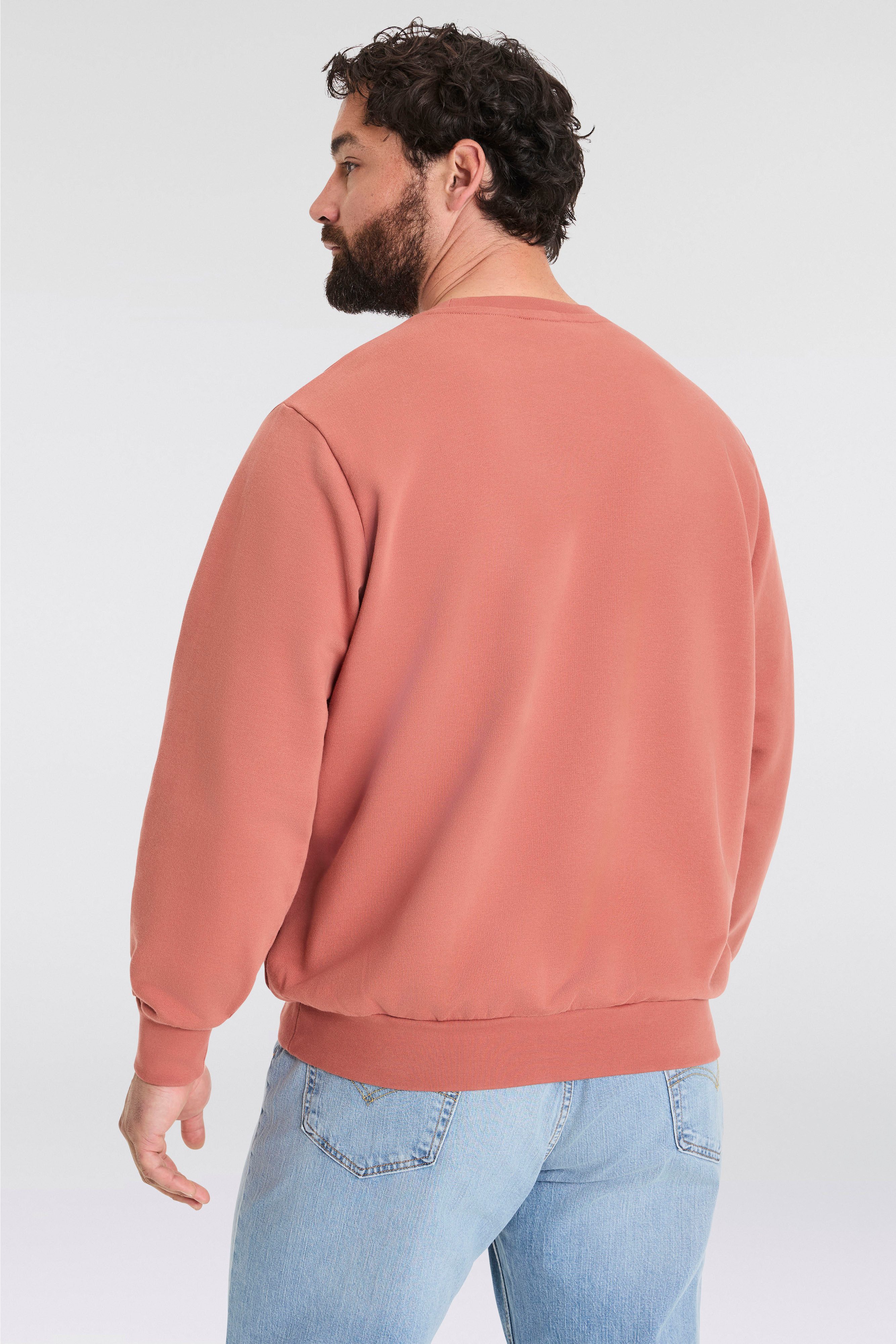 Levi's® Plus Sweatshirt BIG ORIGINAL HM CREW mit Batwing-Logobadge günstig online kaufen