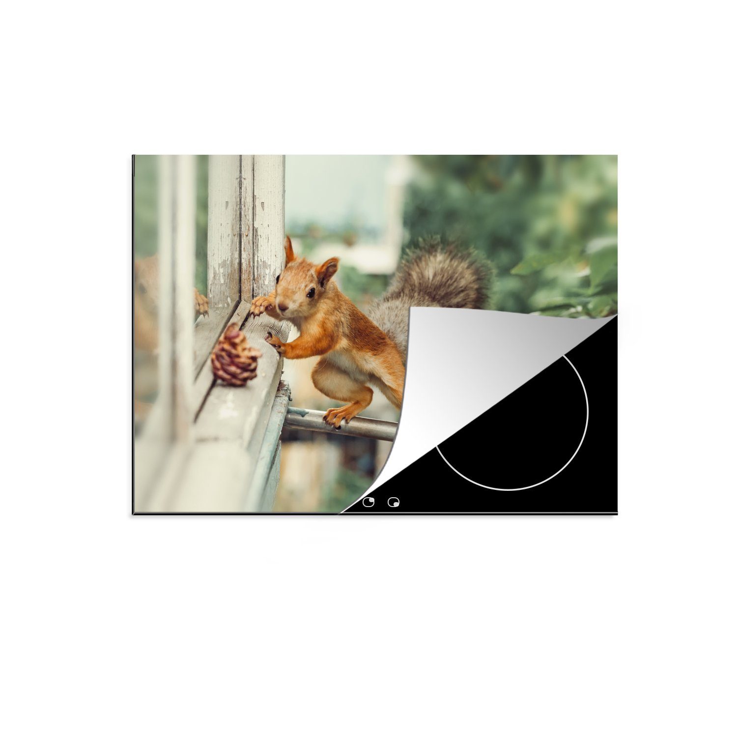 MuchoWow Herdblende-/Abdeckplatte Eichhörnchen - Fenster - Herbst - Tannenzapfen, Vinyl, (1 tlg), 70x52 cm, Mobile Arbeitsfläche nutzbar, Ceranfeldabdeckung