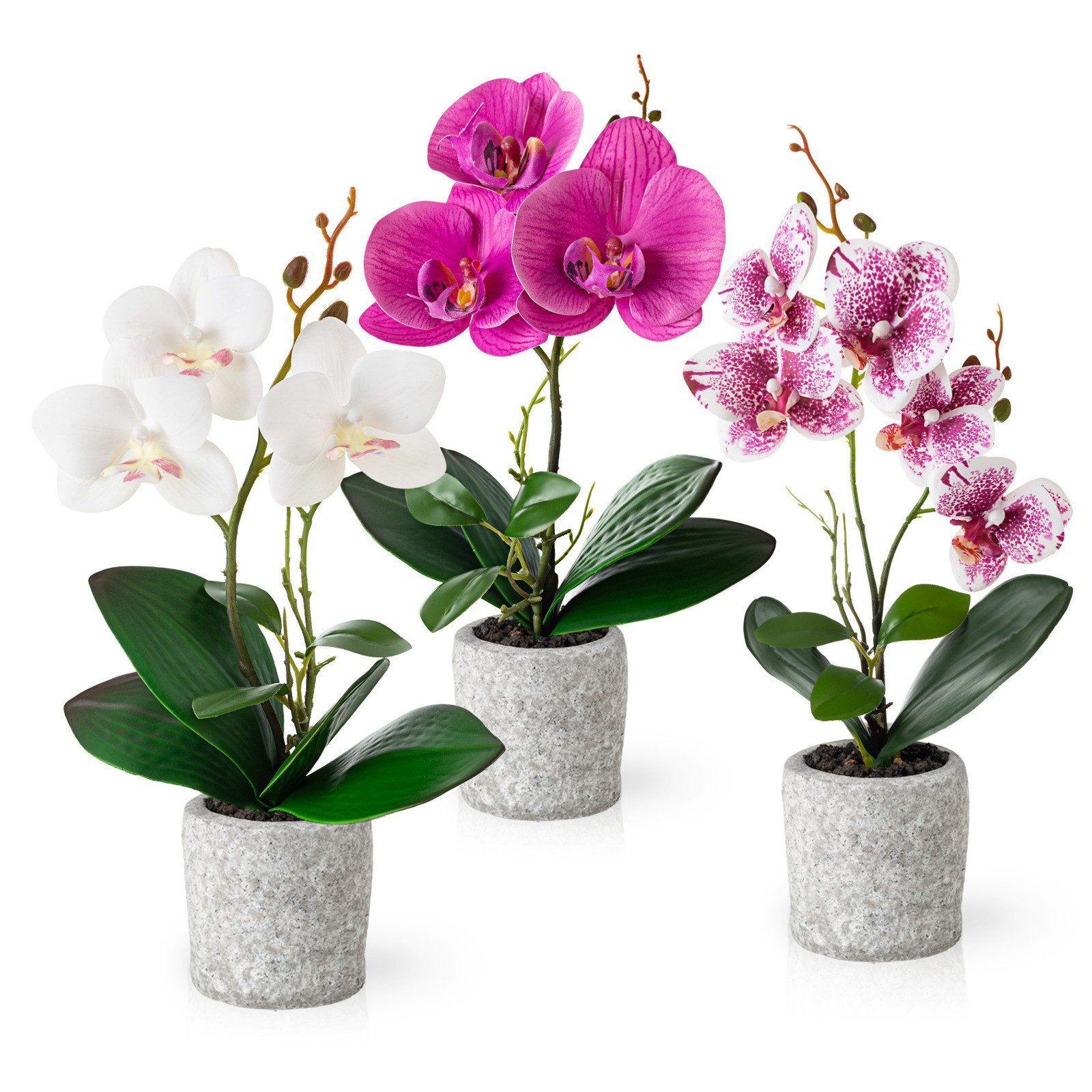 Kunstorchidee 3er Set künstliche Orchideen wie echt (35cm) in Hochglanz-Keramiktopf Orchidee, PASCH