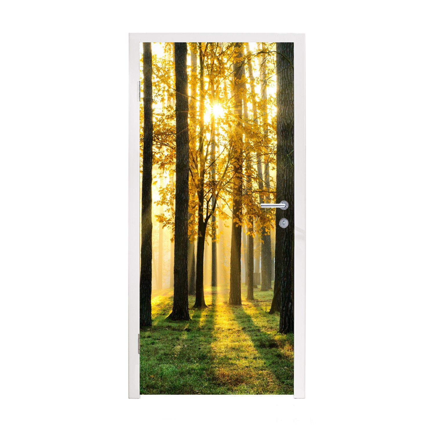 Gras - 75x205 Tür, Türaufkleber, Bäume - für Matt, Sonne - cm Natur, - MuchoWow Fototapete St), Türtapete (1 Landschaft Wald - bedruckt,