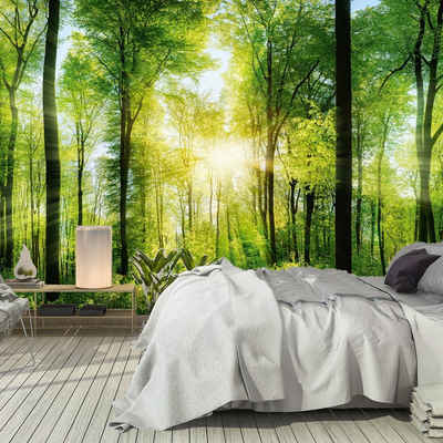 murimage® Fototapete Fototapete Wald 3D 366 x 254 cm Bäume Wohnzimmer Küche Schlafzimmer Tapete inklusive Kleister