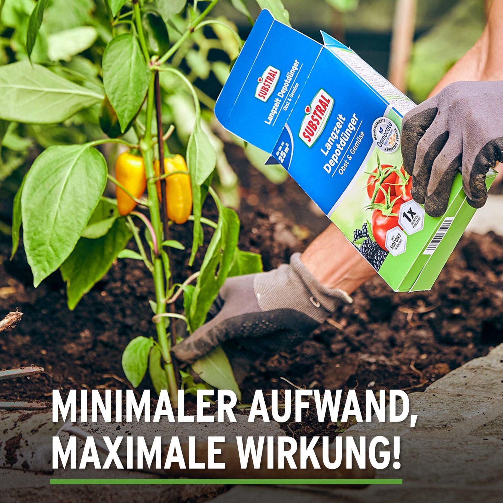 Substral Langzeitdünger Langzeit Depotdünger Obst & Gemüse 750 g günstig online kaufen