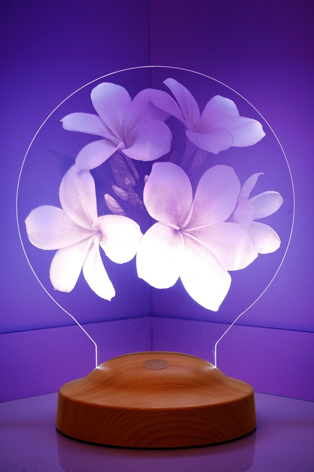 Geschenkelampe LED Nachttischlampe Plumeria Blumen 3D mehrfarbige Nachttischlampe, Leuchte 7 Farben fest integriert, Muttertagsgeschenke für Mama, Ehefrau, Freundin, Oma, Kollegin