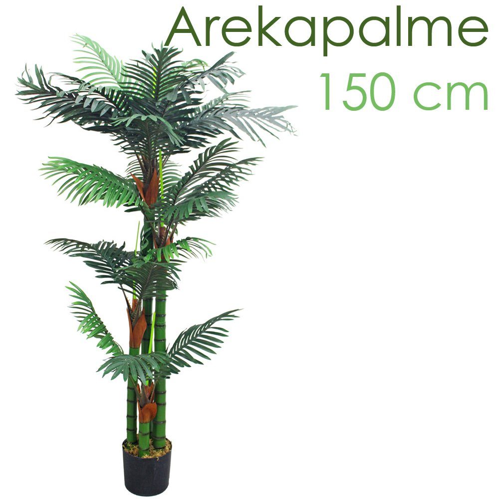 Kunstpalme Palme Palmenbaum Arekapalme 150 150 Kunstpflanze cm Künstliche Decovego, Höhe cm, Pflanze