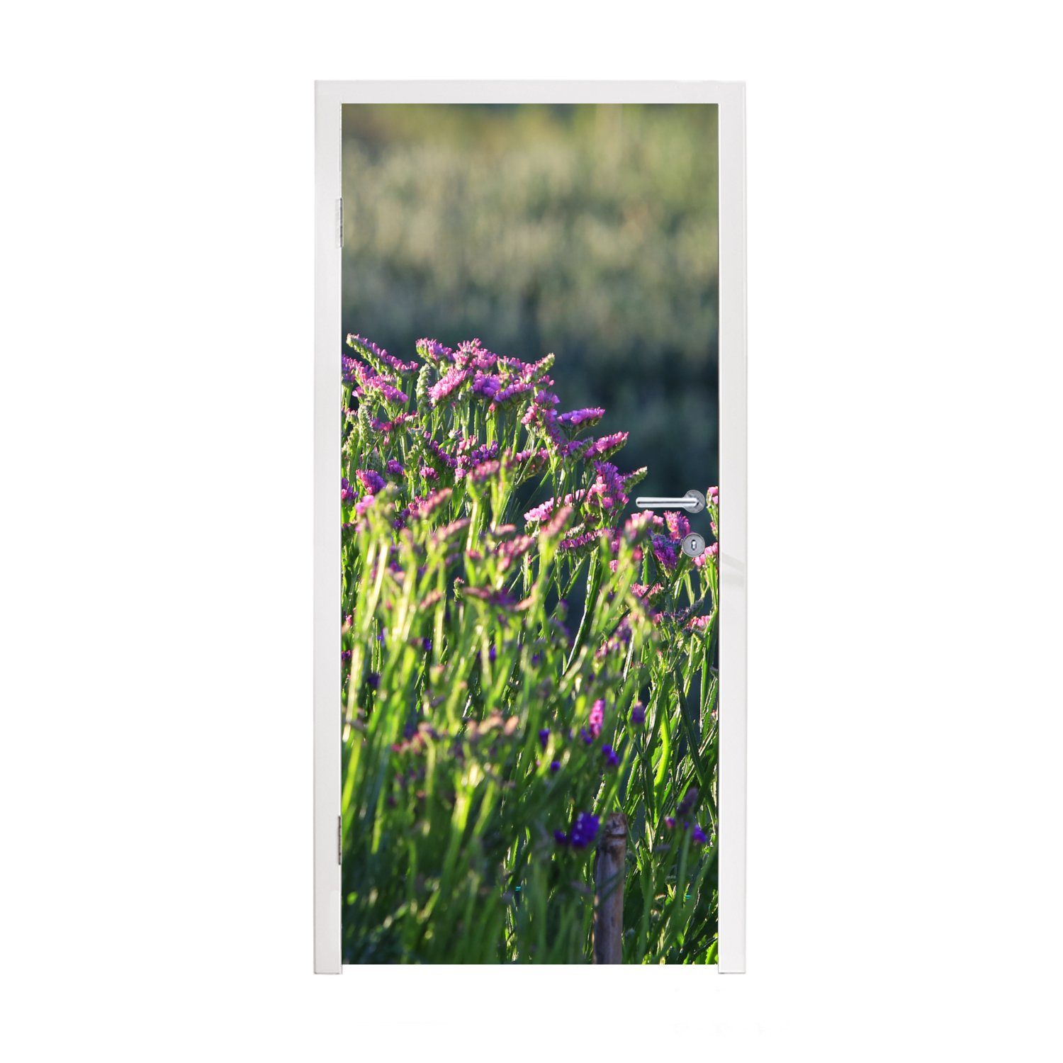 Limonium-Blüten für 75x205 Türaufkleber, St), Matt, einer Landschaft, Tür, cm (1 grünen MuchoWow Fototapete in bedruckt, Türtapete