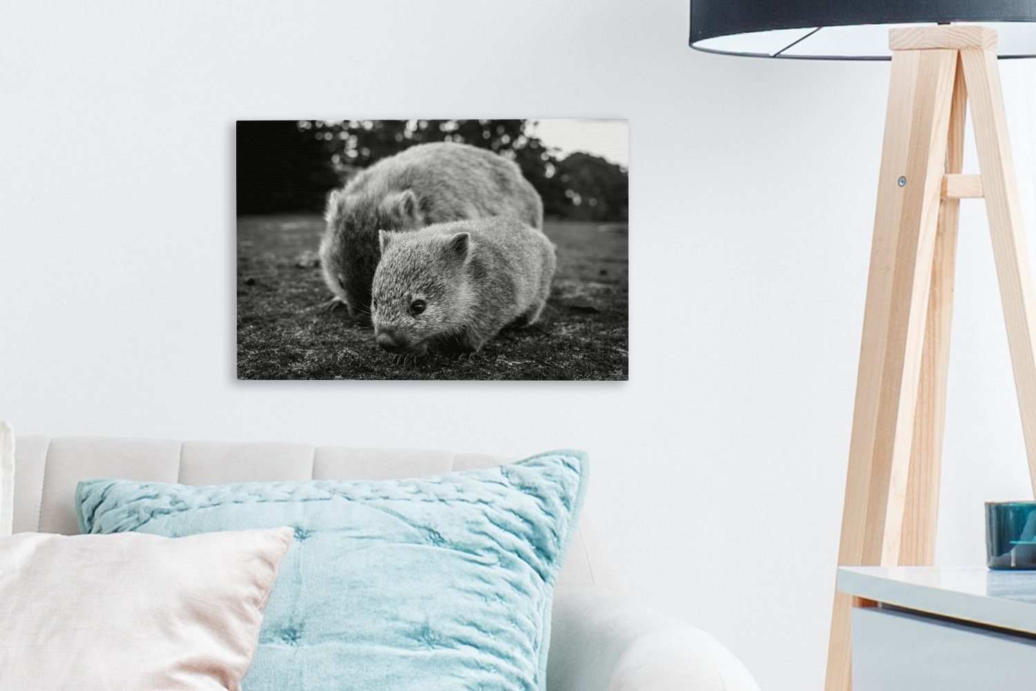 OneMillionCanvasses® Leinwandbild Nahaufnahme Mutter und Aufhängefertig, schwarz Baby St), - weiß, und Wombat (1 30x20 Wanddeko, cm Wandbild Leinwandbilder