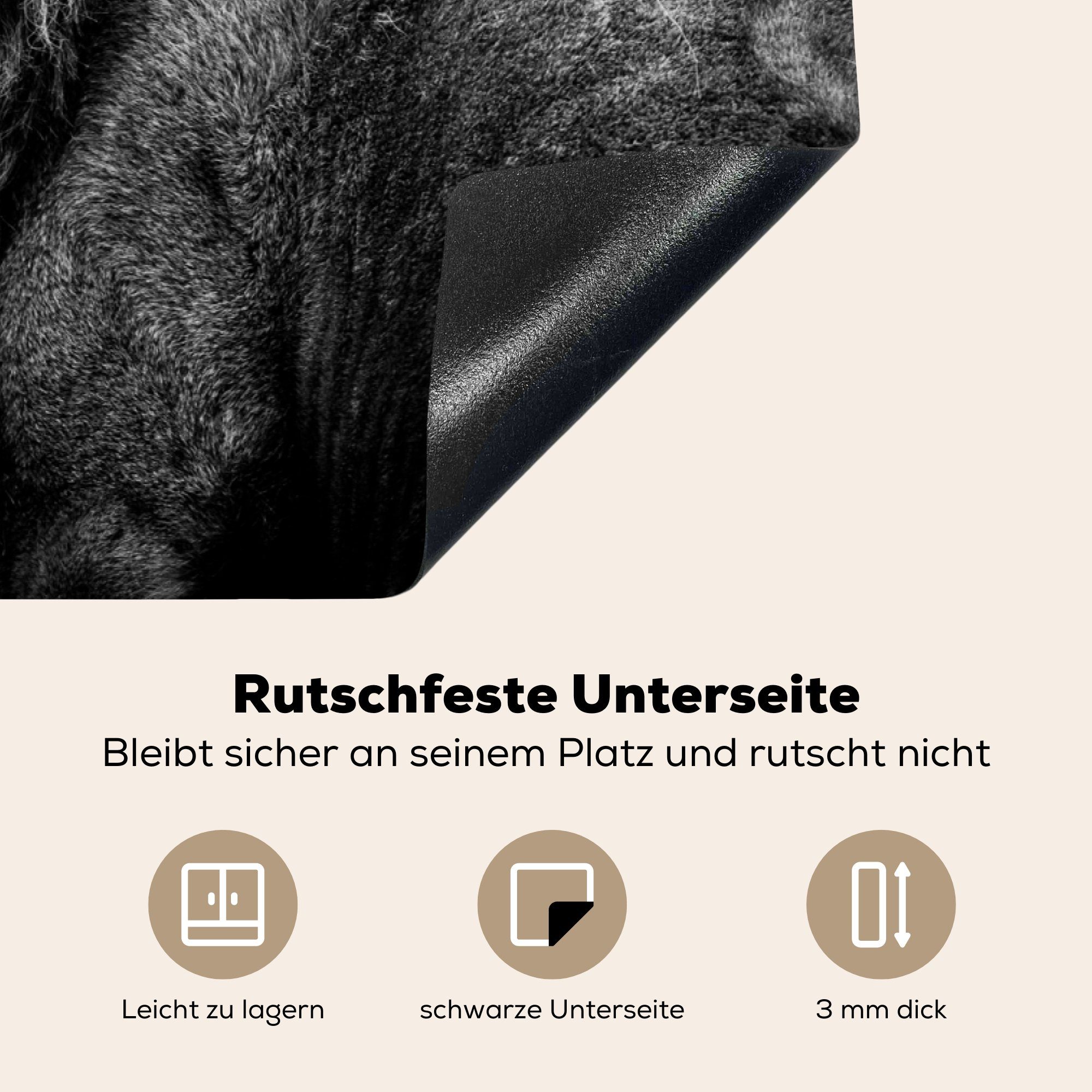 Weiß, Herdblende-/Abdeckplatte - Löwe Schwarz Wildtiere (1 Arbeitsplatte Porträt küche 81x52 tlg), cm, - Vinyl, - für MuchoWow Ceranfeldabdeckung, -