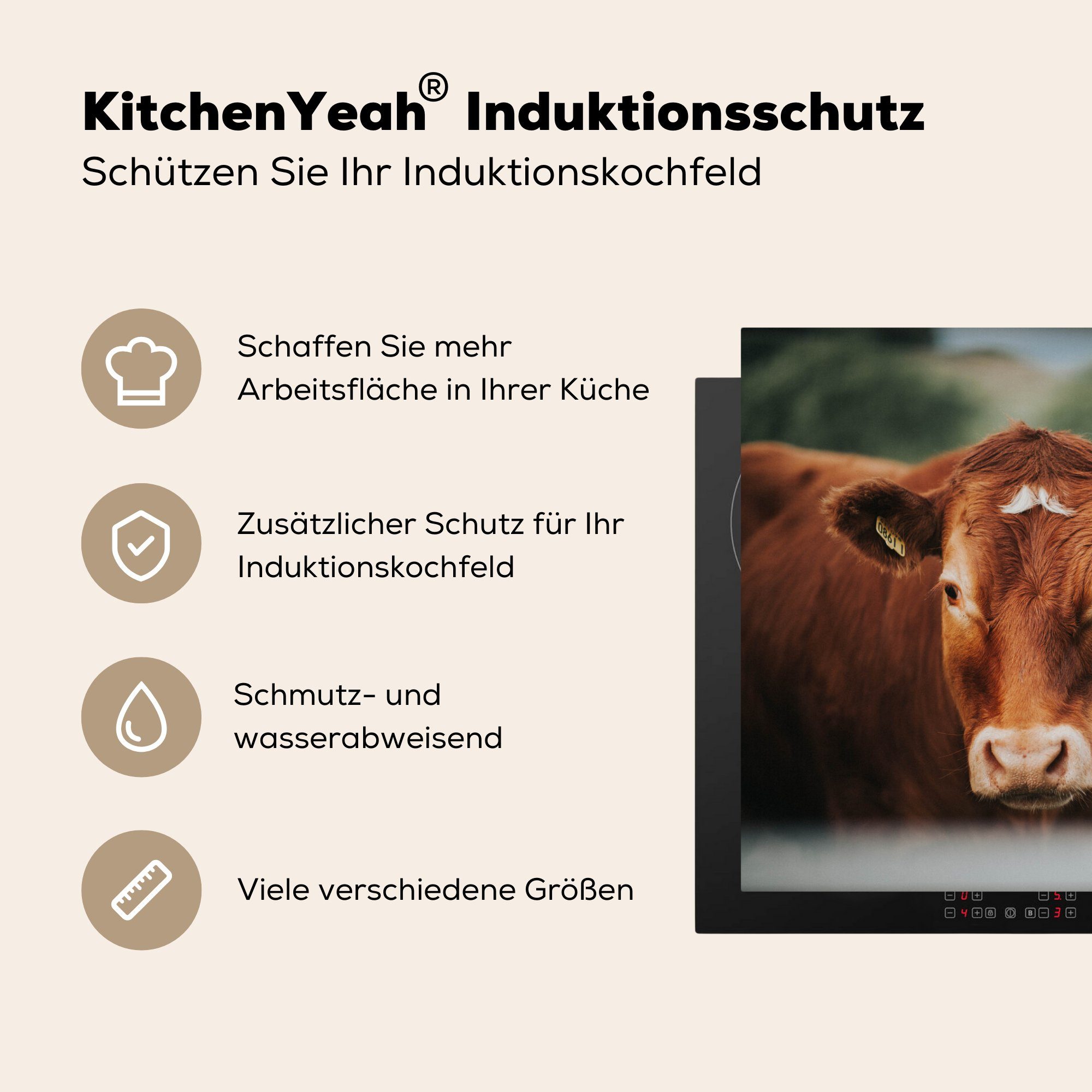küche, MuchoWow Gras Induktionskochfeld tlg), Kühe 81x52 Schutz Herdblende-/Abdeckplatte für Vinyl, Ceranfeldabdeckung - (1 die Zaun, cm, -